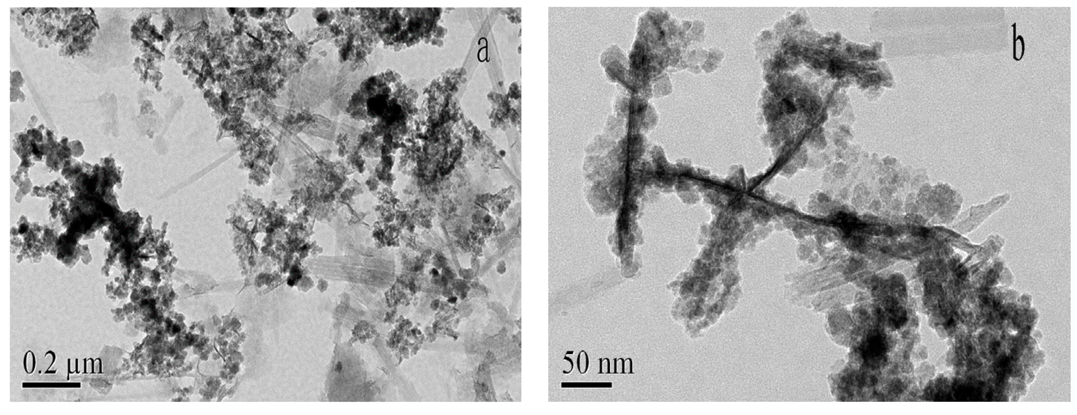 Nanomaterials 10 00205 g003