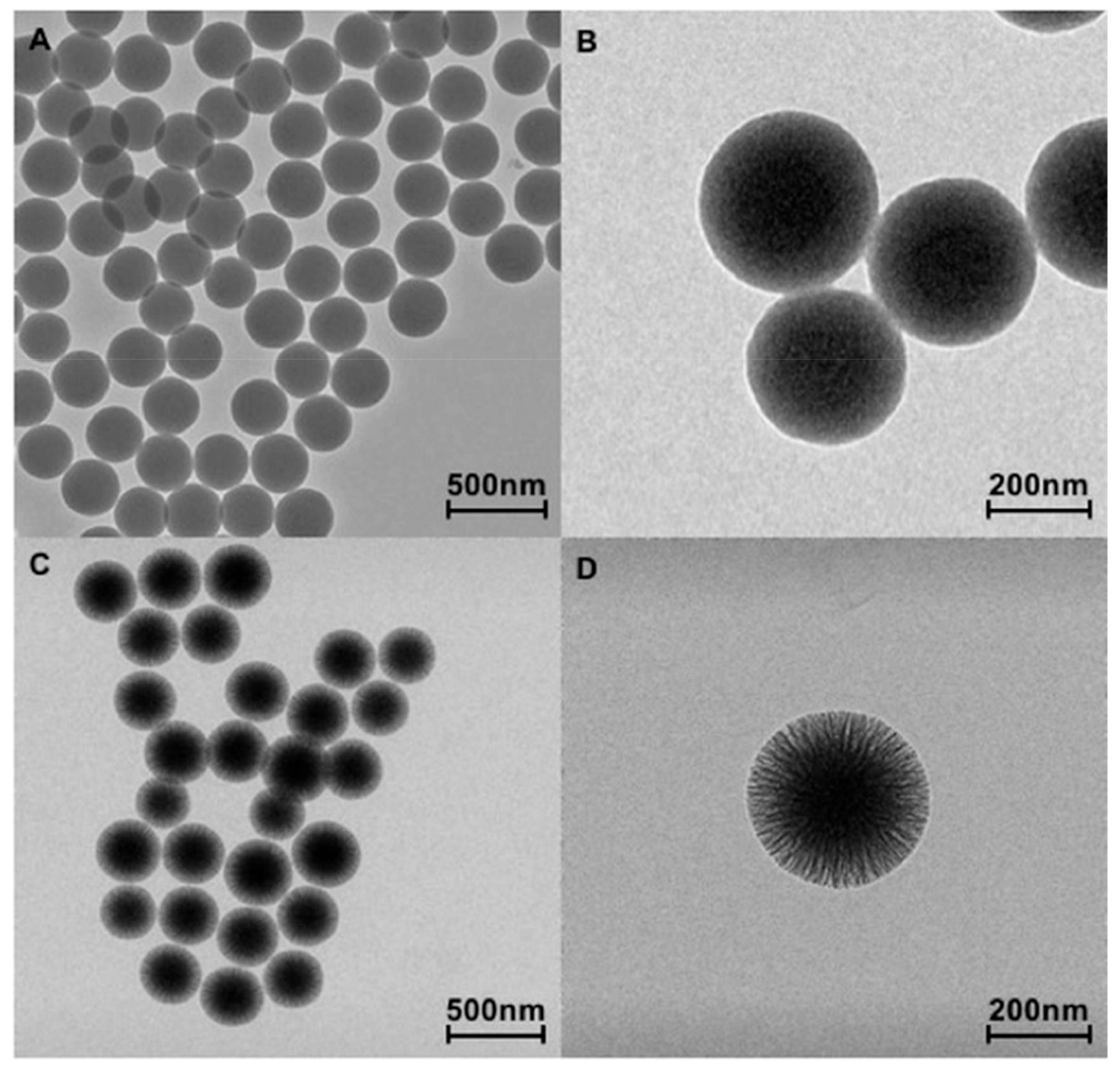 Nanomaterials 10 00208 g001 Nanomaterials 10 00208 g001