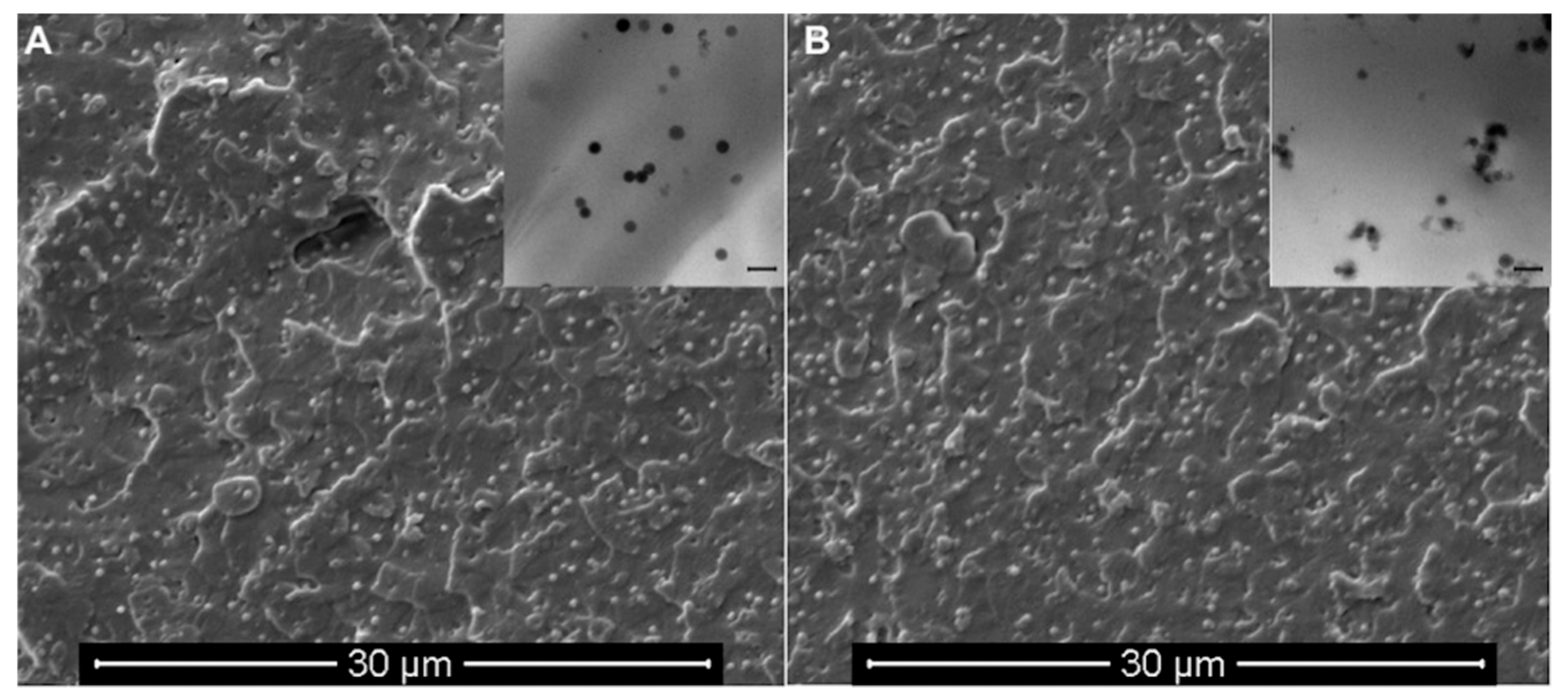 Nanomaterials 10 00208 g004 Nanomaterials 10 00208 g004