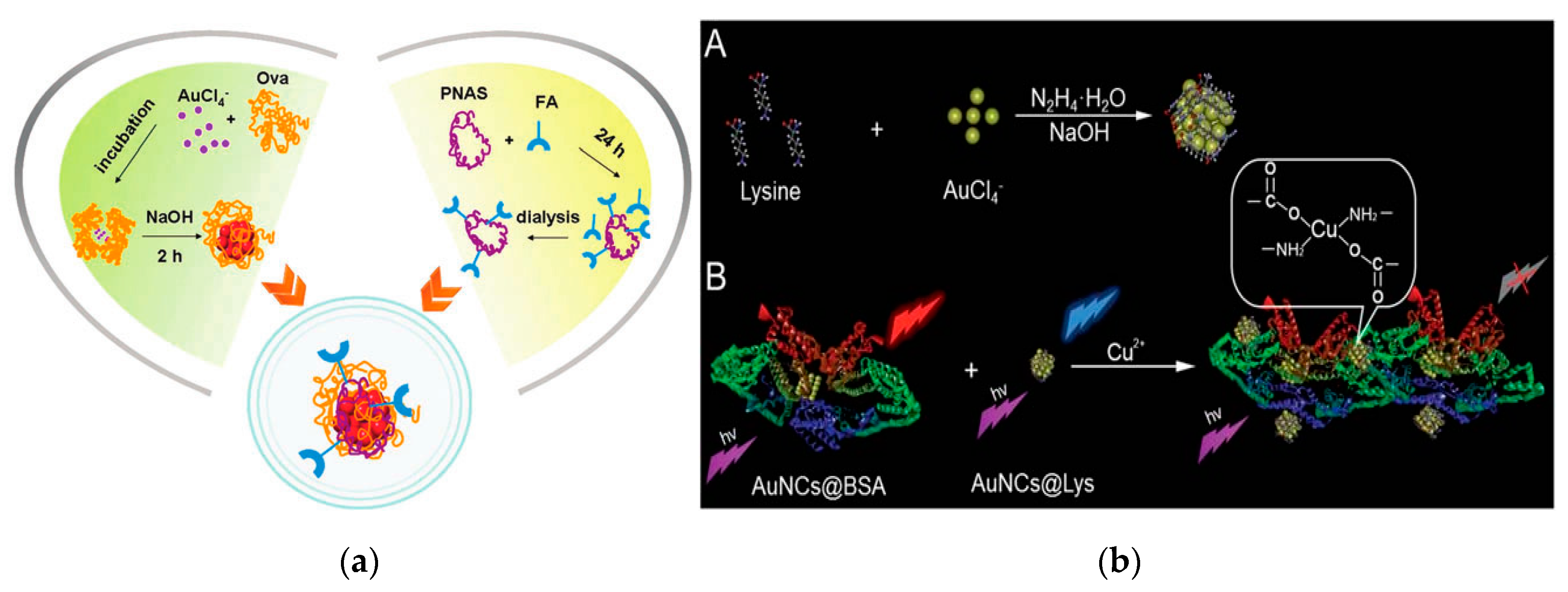 Nanomaterials 10 00209 g005 Nanomaterials 10 00209 g005