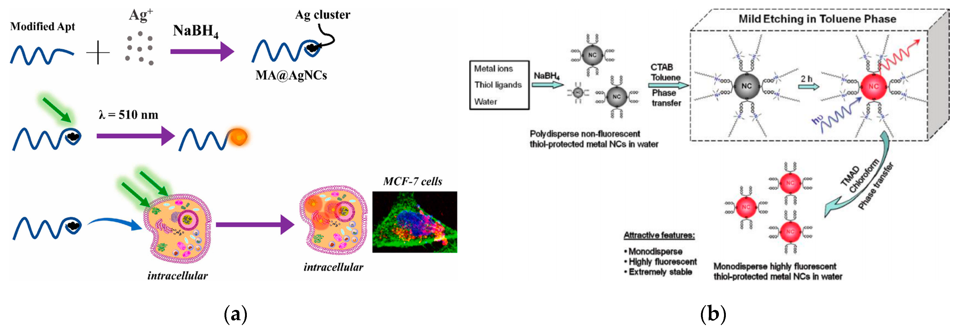 Nanomaterials 10 00209 g006 Nanomaterials 10 00209 g006