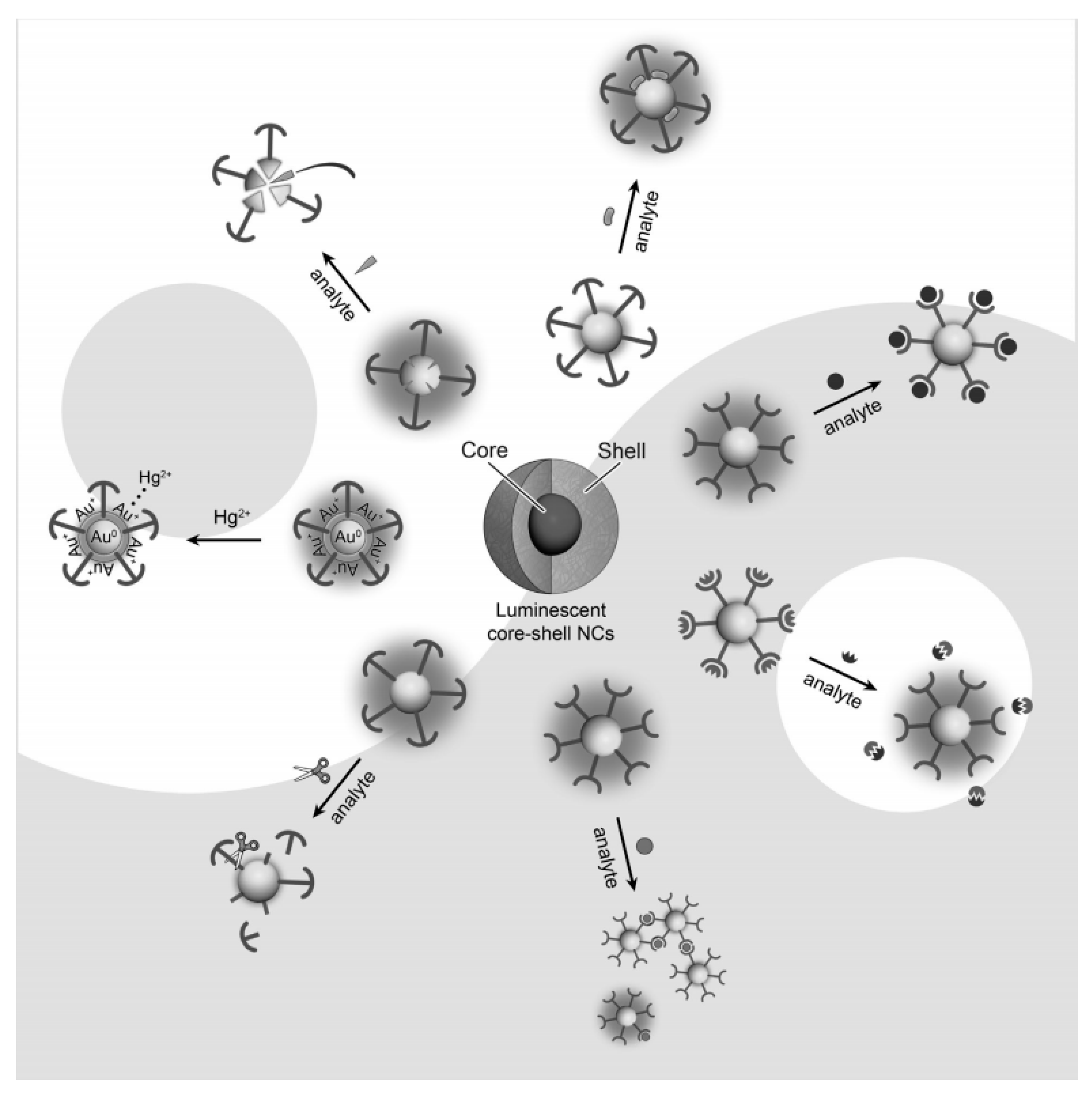 Nanomaterials 10 00209 g007 Nanomaterials 10 00209 g007