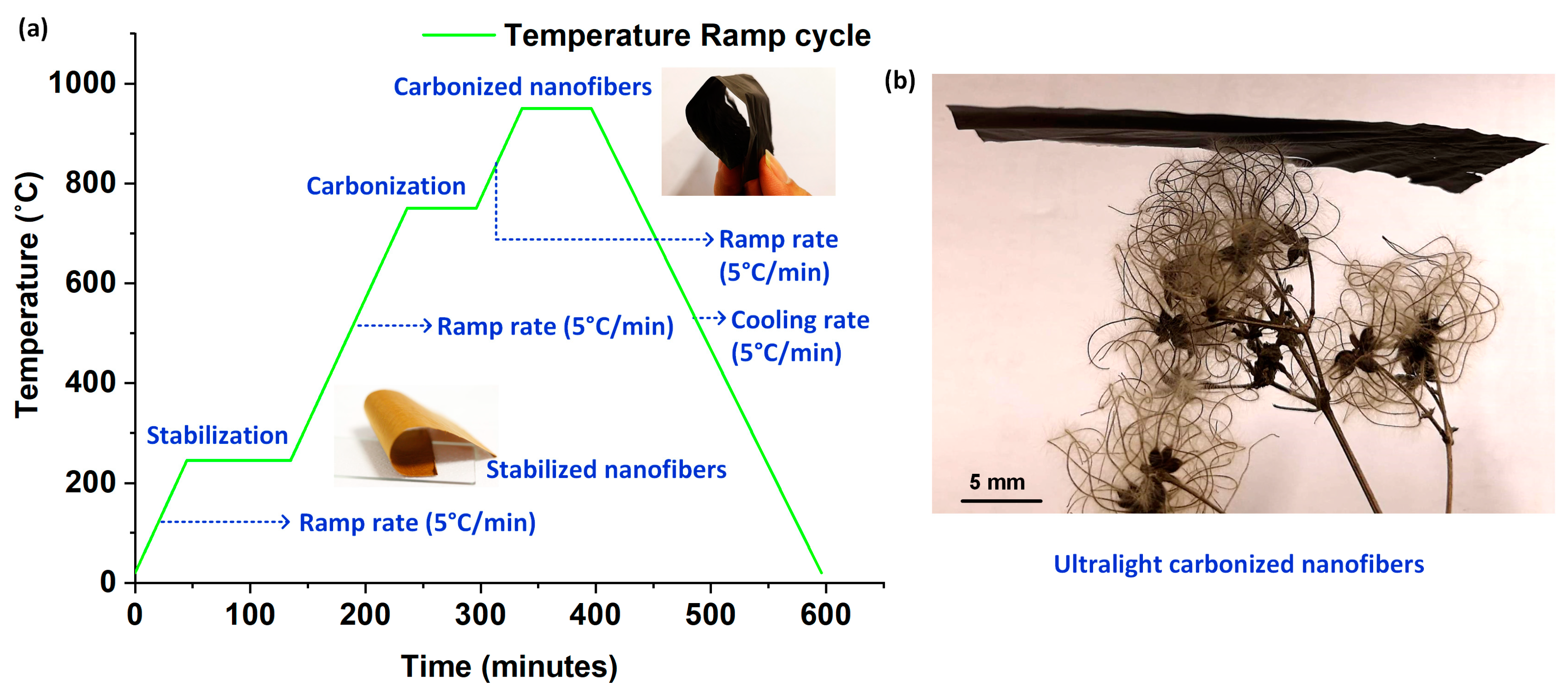 Nanomaterials 10 00211 g001