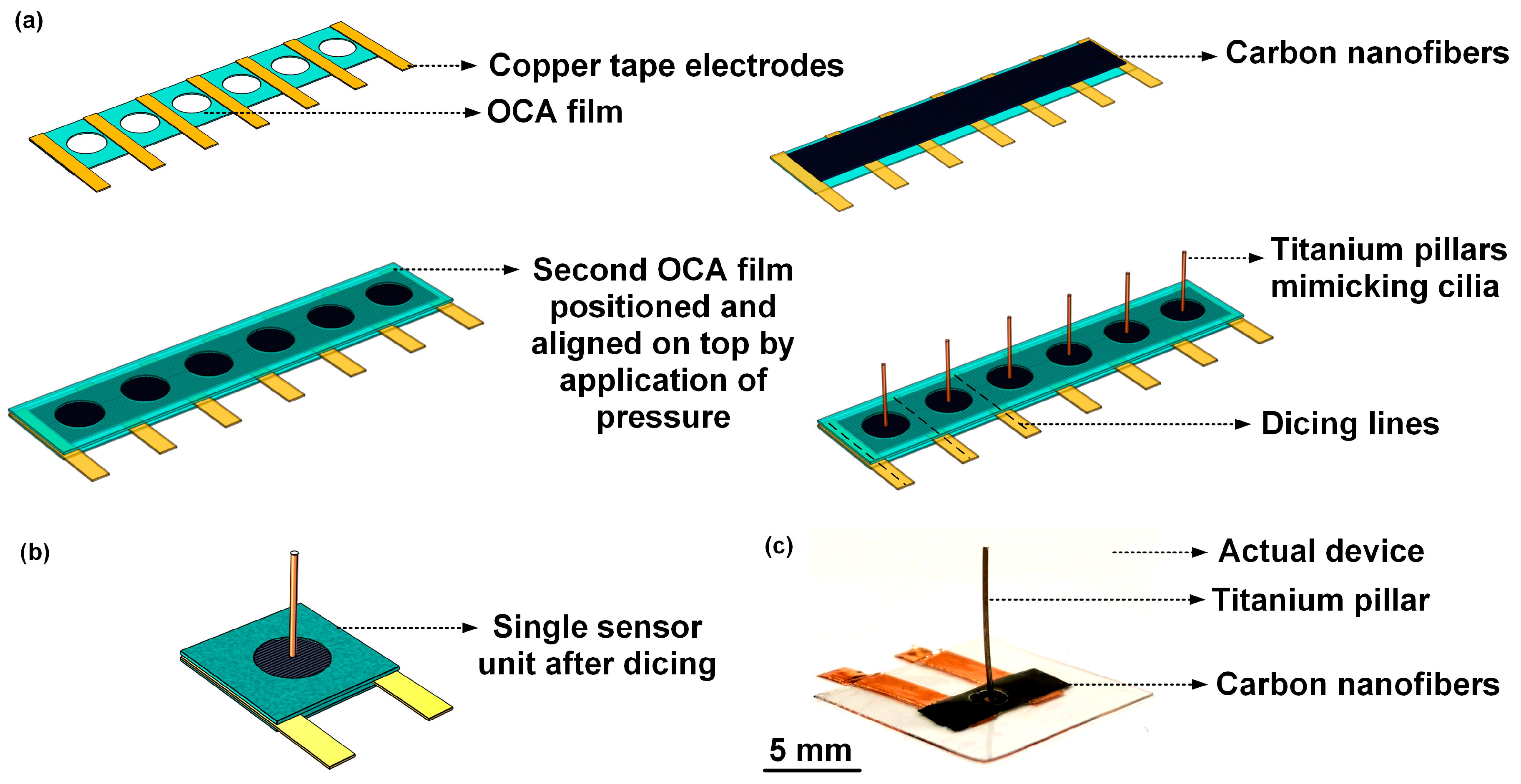 Nanomaterials 10 00211 g003