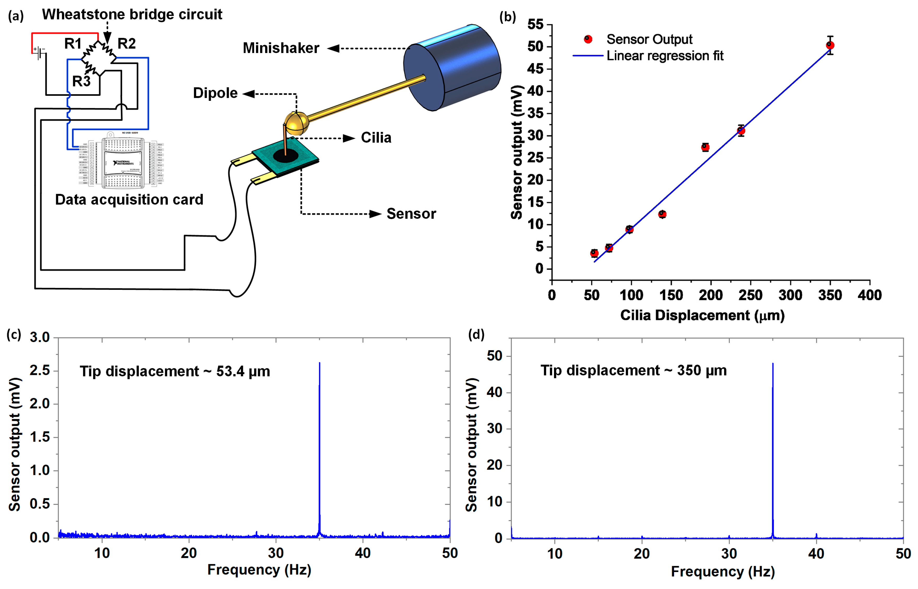 Nanomaterials 10 00211 g005