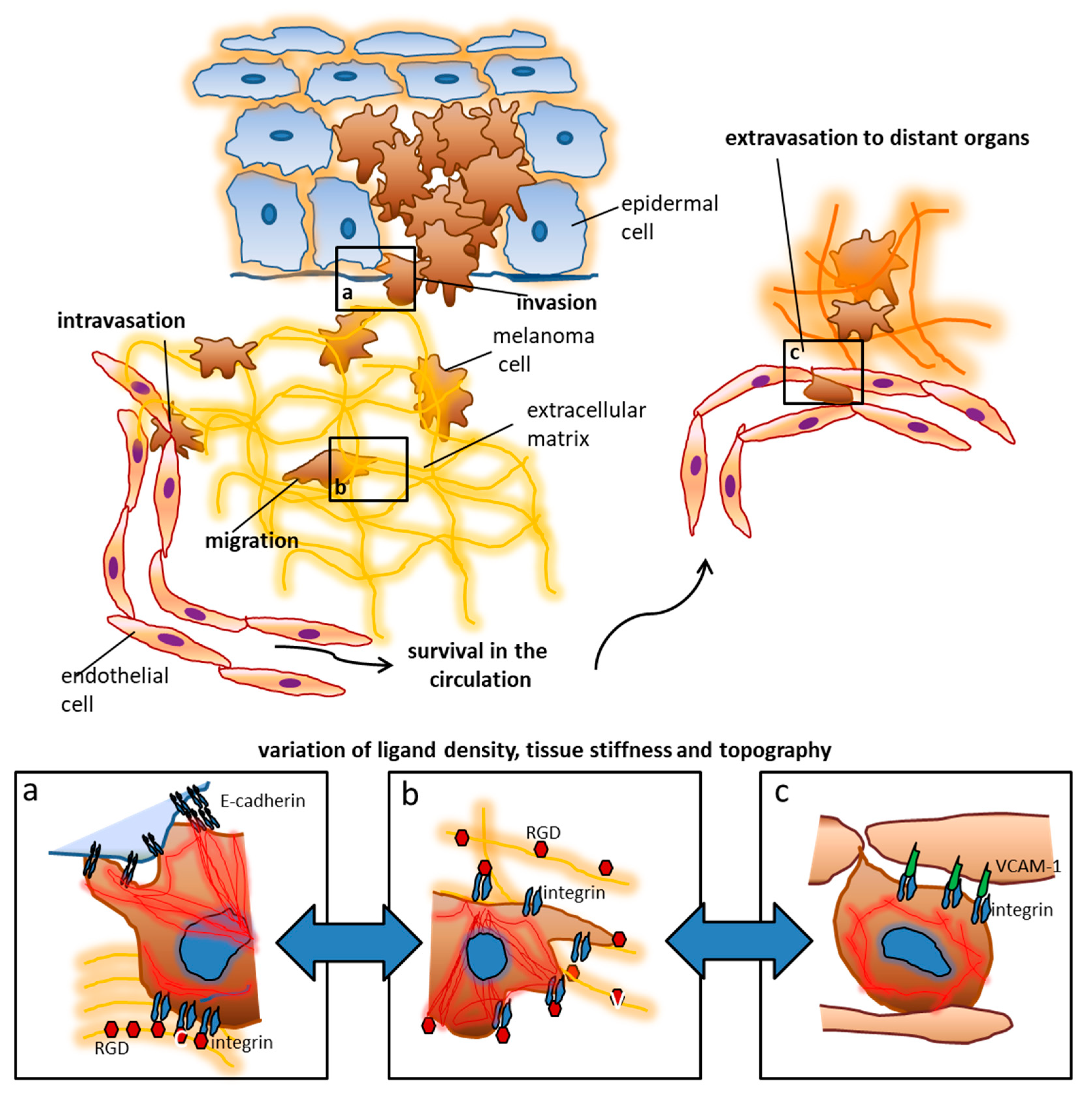 Nanomaterials 10 00212 g001 Nanomaterials 10 00212 g001