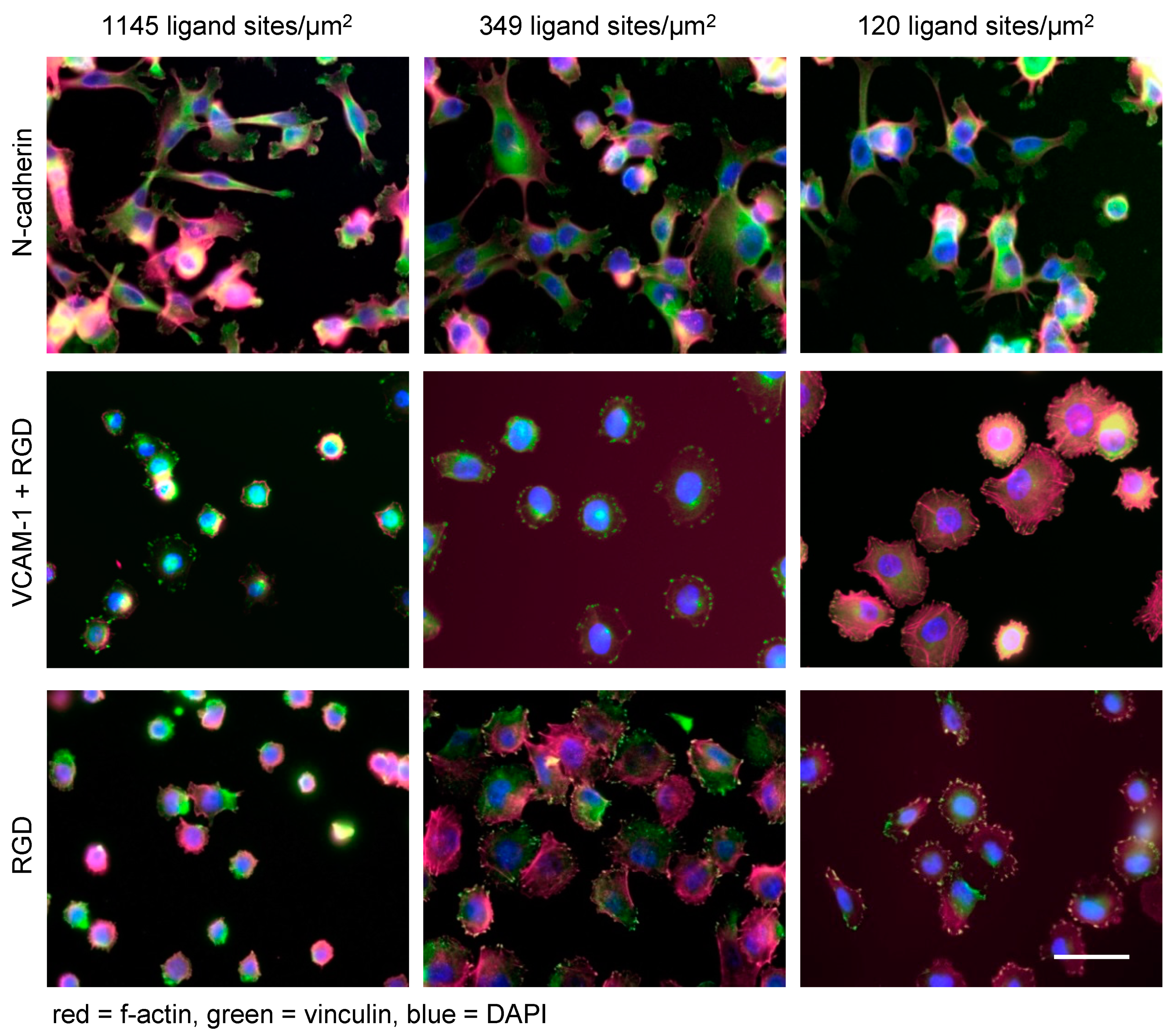 Nanomaterials 10 00212 g003 Nanomaterials 10 00212 g003