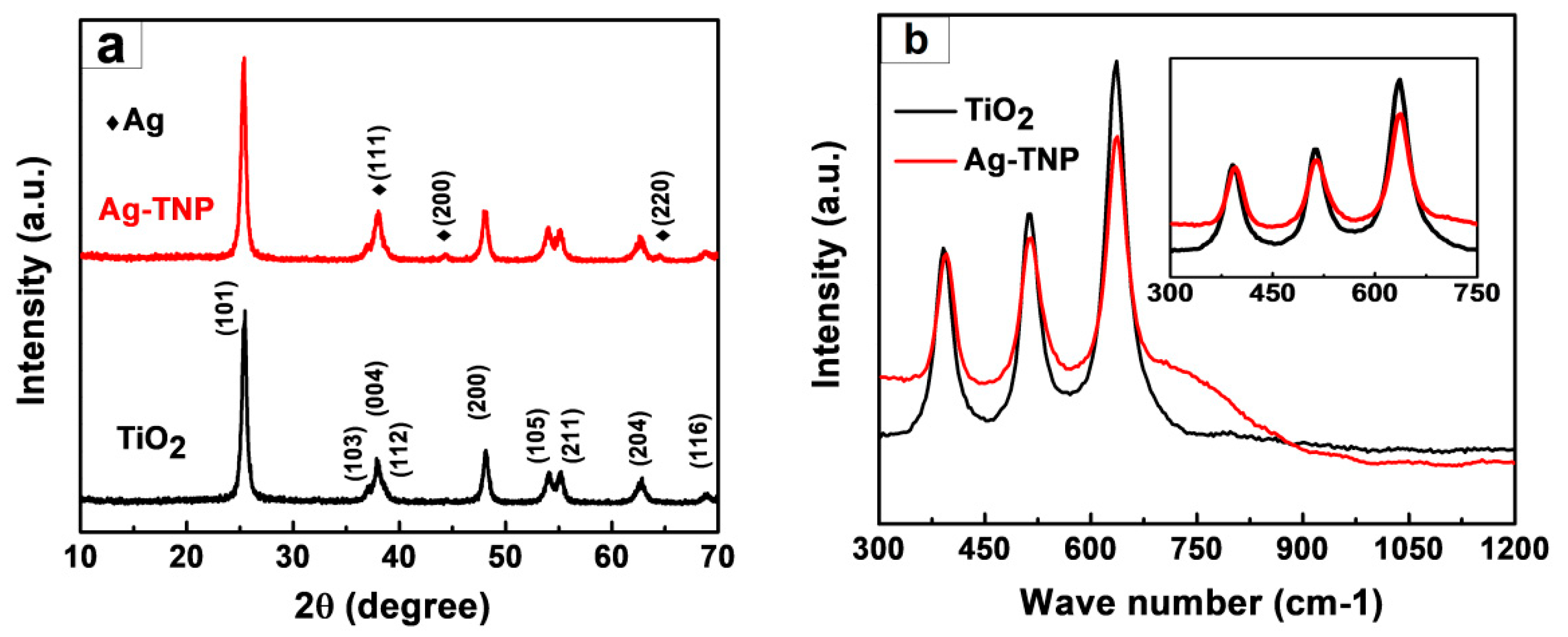 Nanomaterials 10 00217 g002