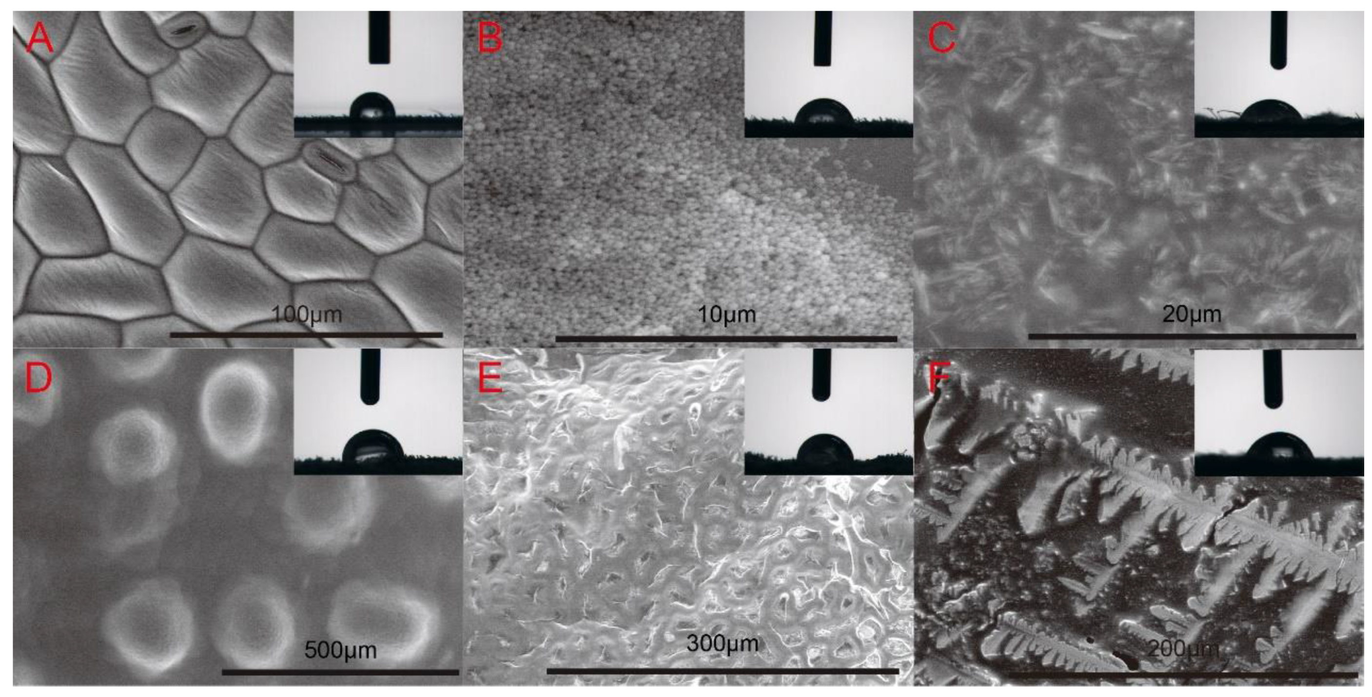 Nanomaterials 10 00220 g006 Nanomaterials 10 00220 g006