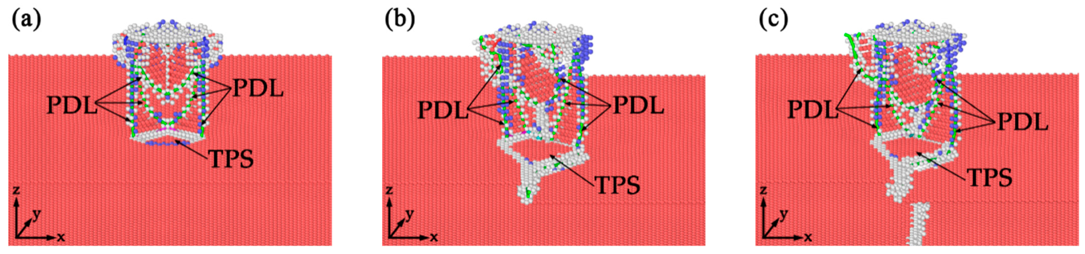 Nanomaterials 10 00221 g006