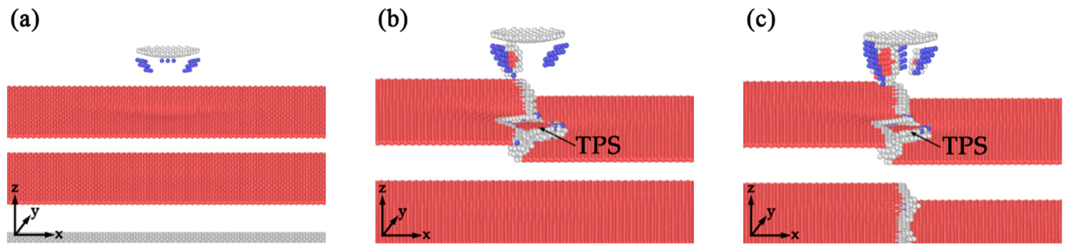 Nanomaterials 10 00221 g007