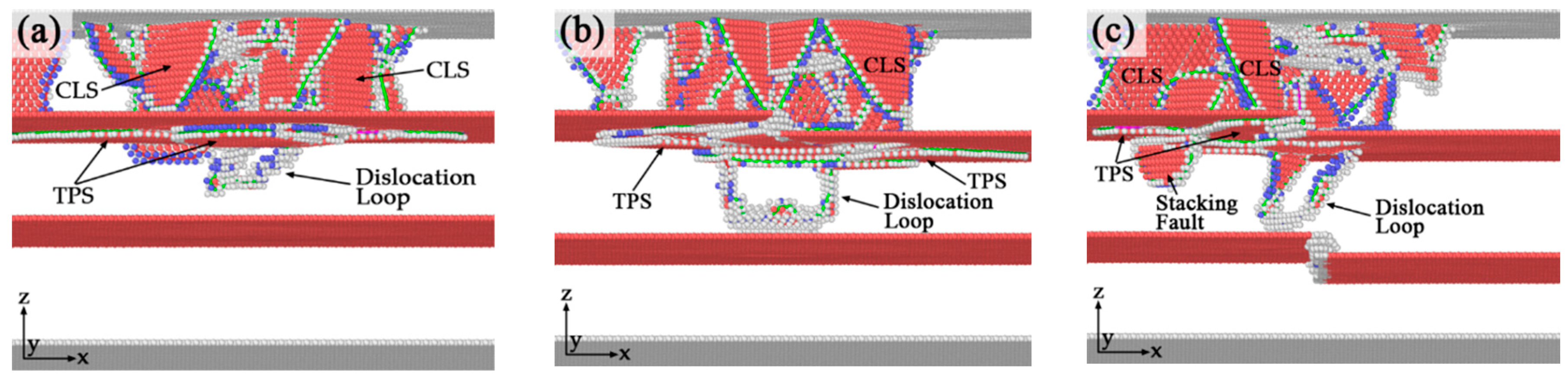 Nanomaterials 10 00221 g010