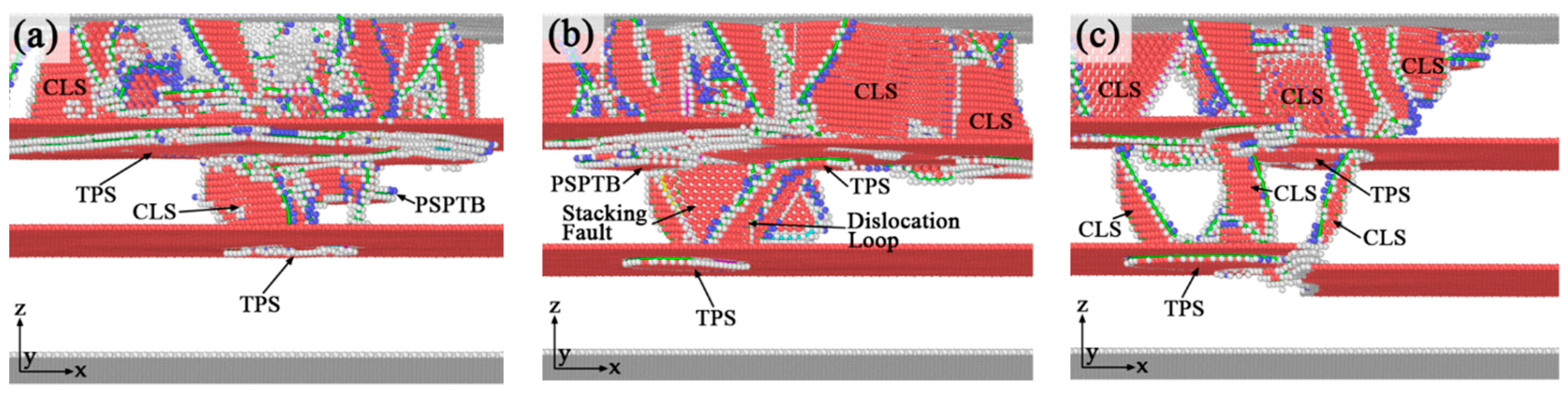Nanomaterials 10 00221 g011