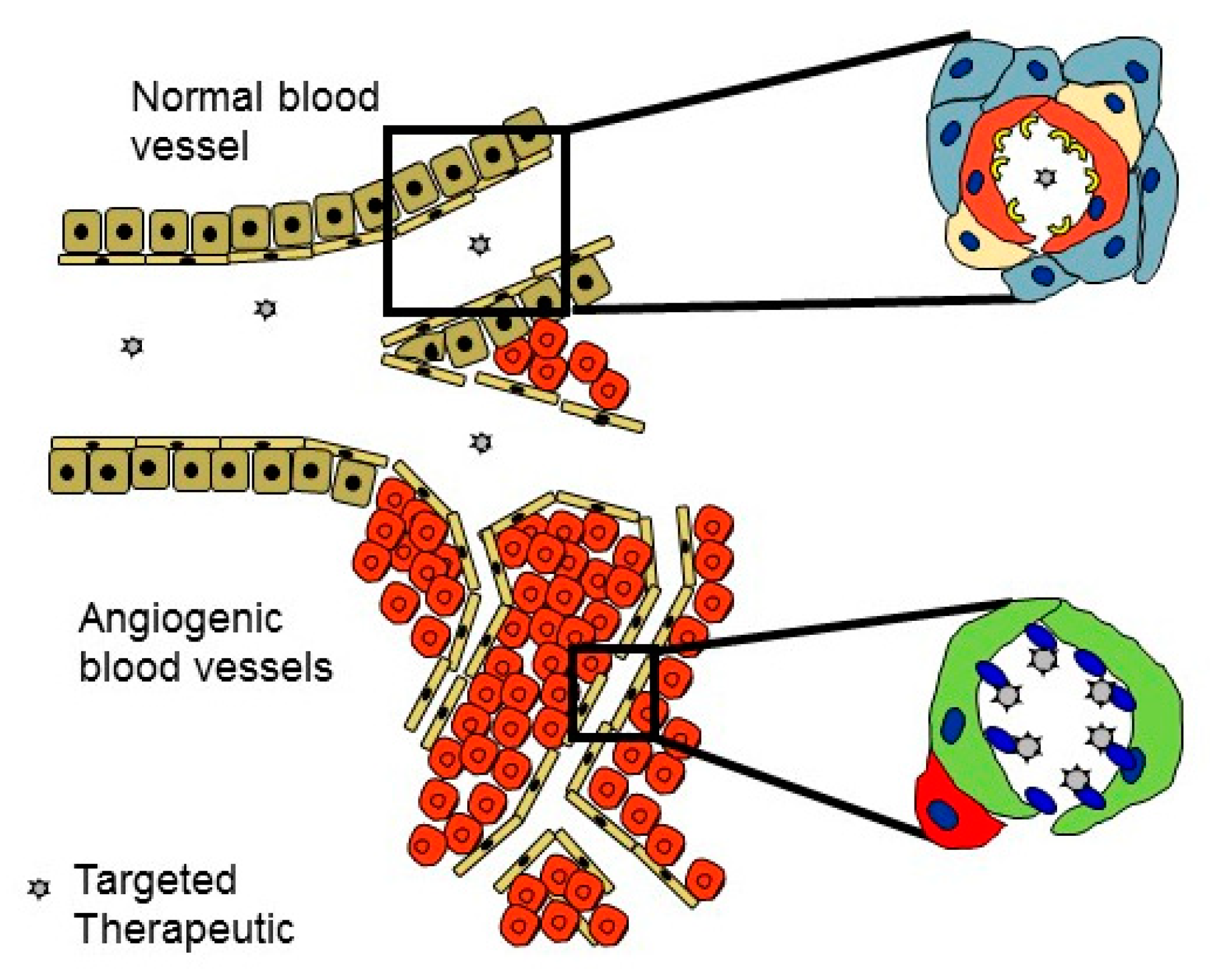 Nanomaterials 10 00226 g002
