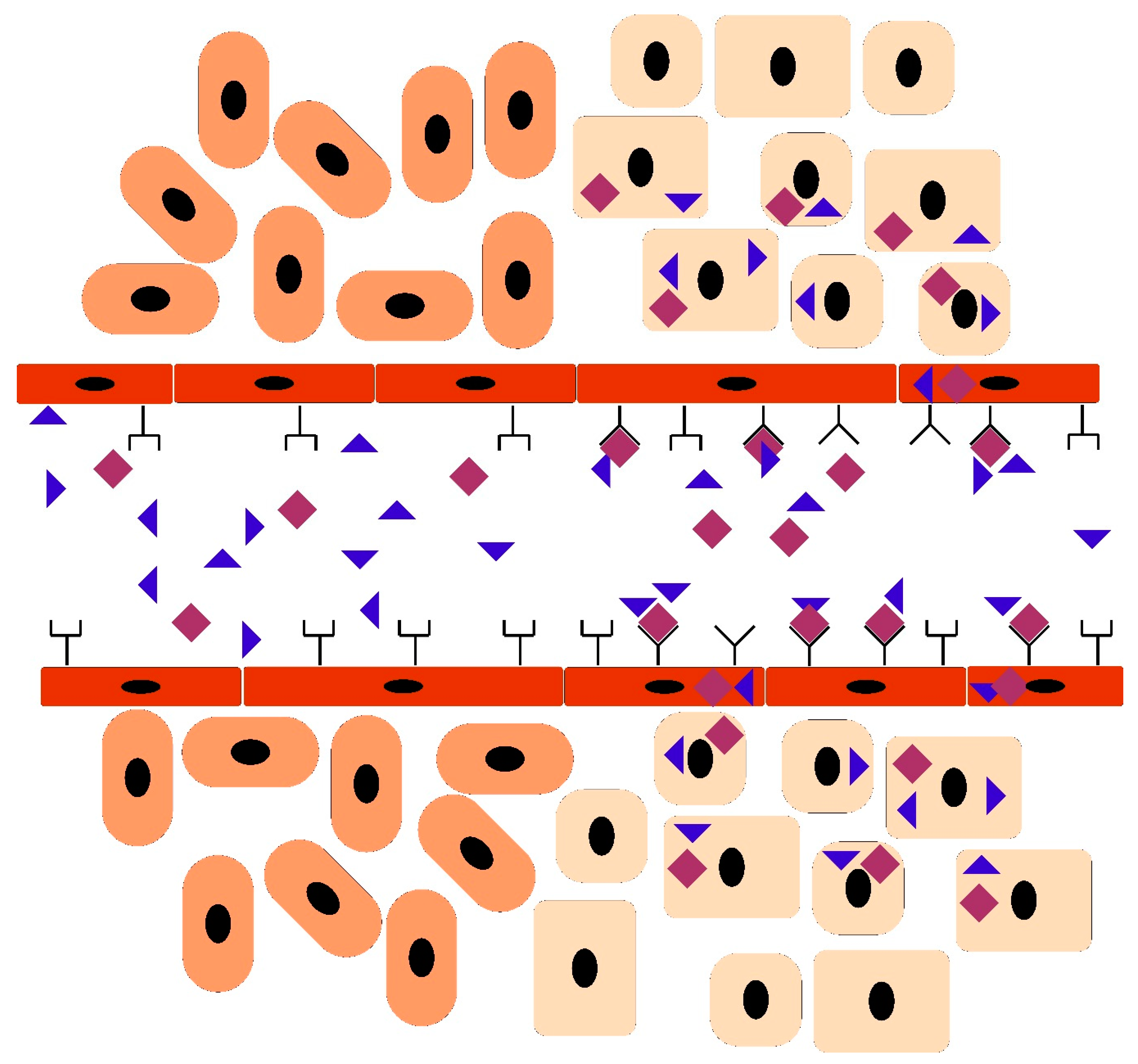 Nanomaterials 10 00226 g004