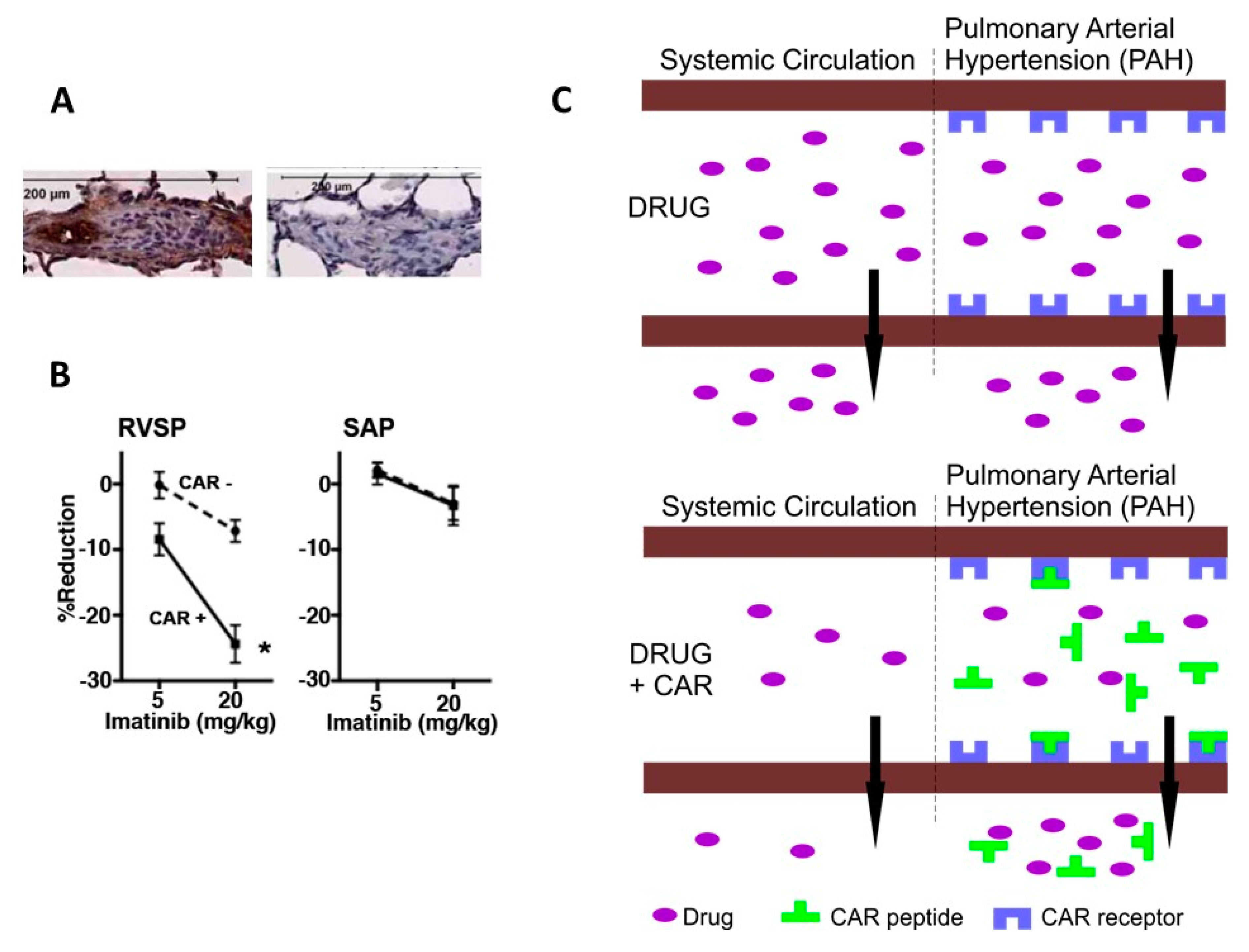 Nanomaterials 10 00226 g006