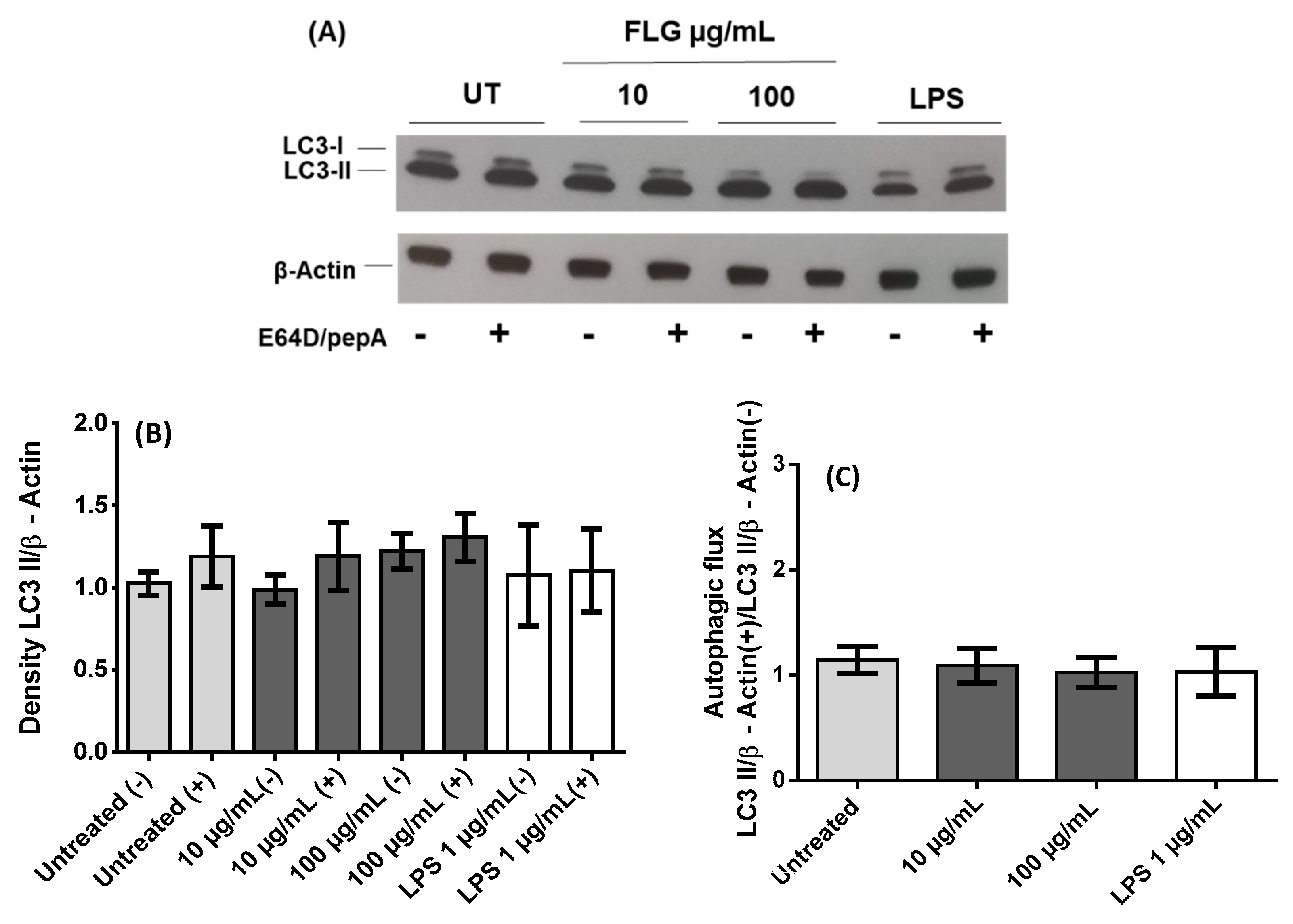 Nanomaterials 10 00228 g002 Nanomaterials 10 00228 g002