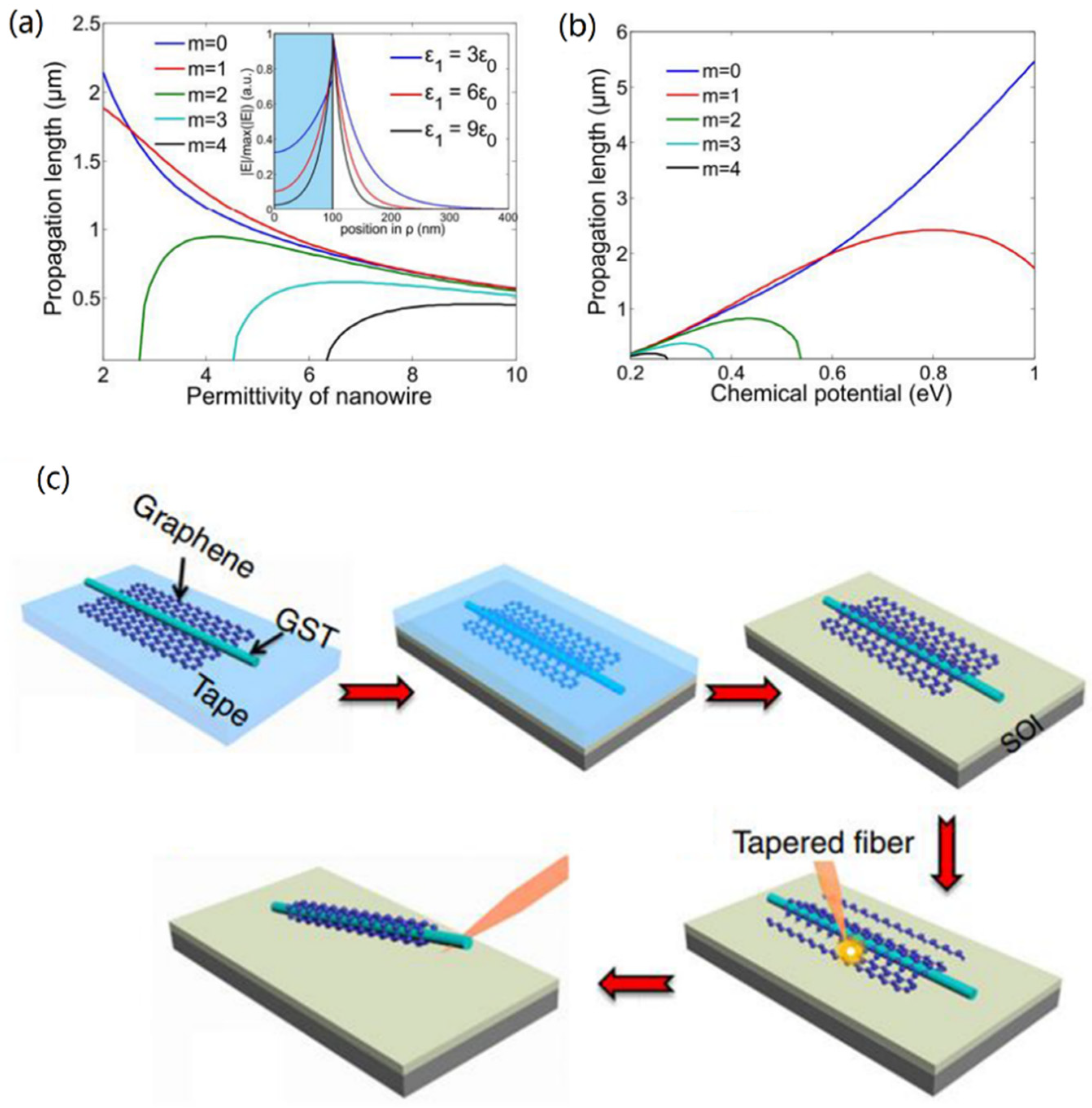 Nanomaterials 10 00229 g003