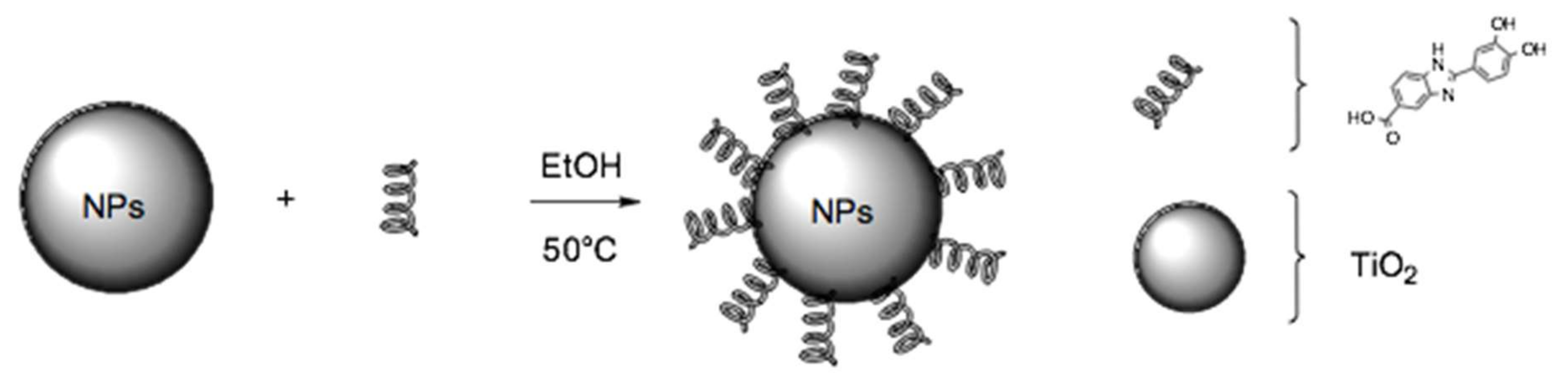 Nanomaterials 10 00231 g002