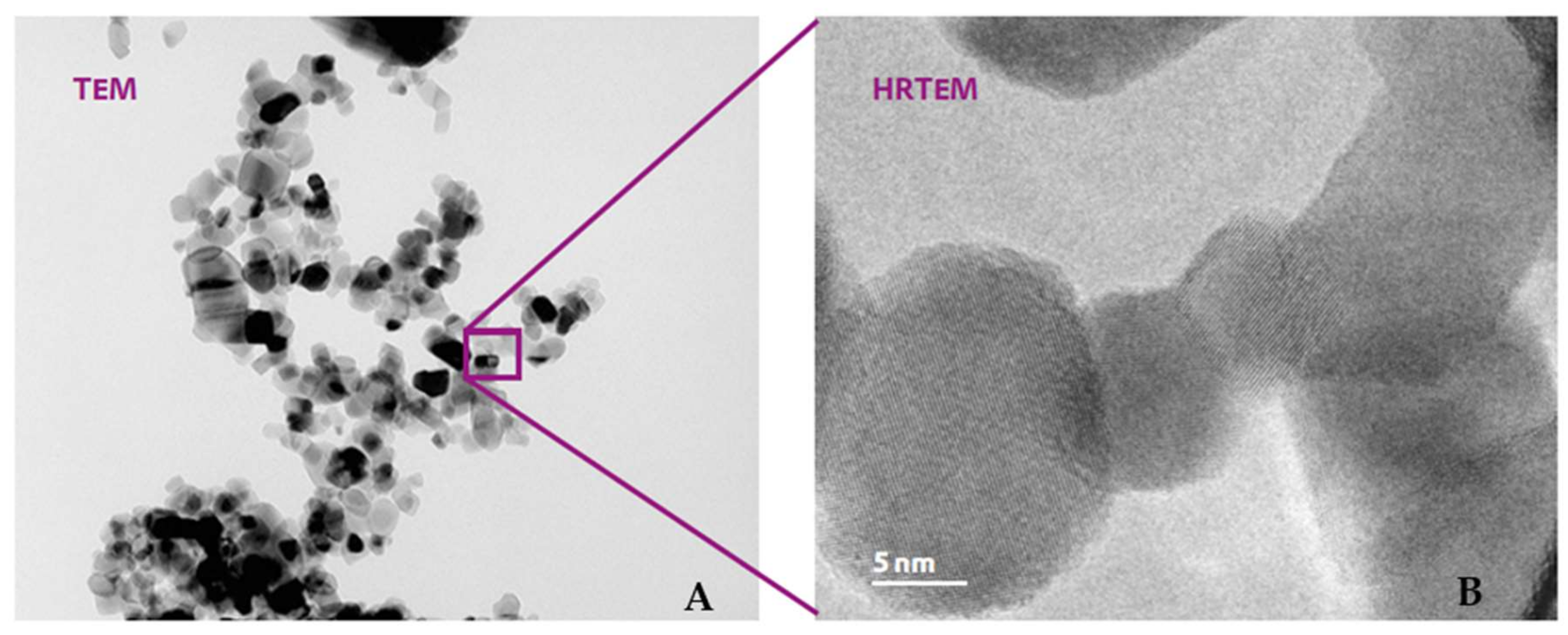 Nanomaterials 10 00231 g003