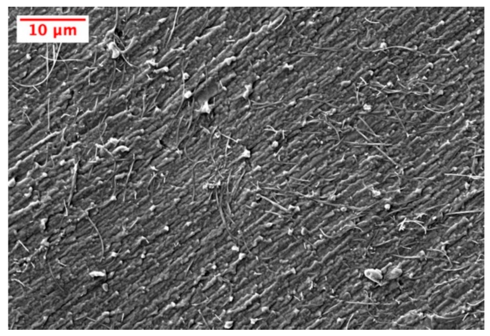 Nanomaterials 10 00233 g004