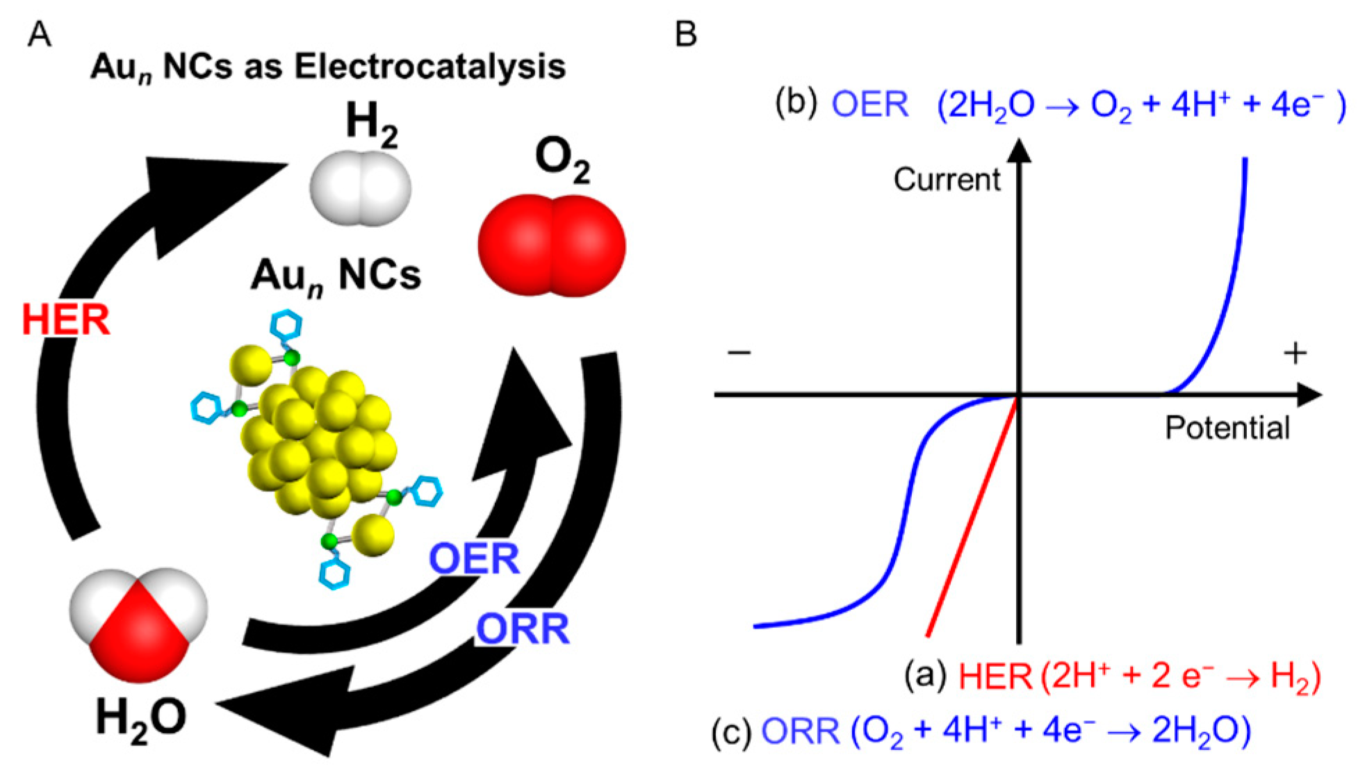 Nanomaterials 10 00238 g001