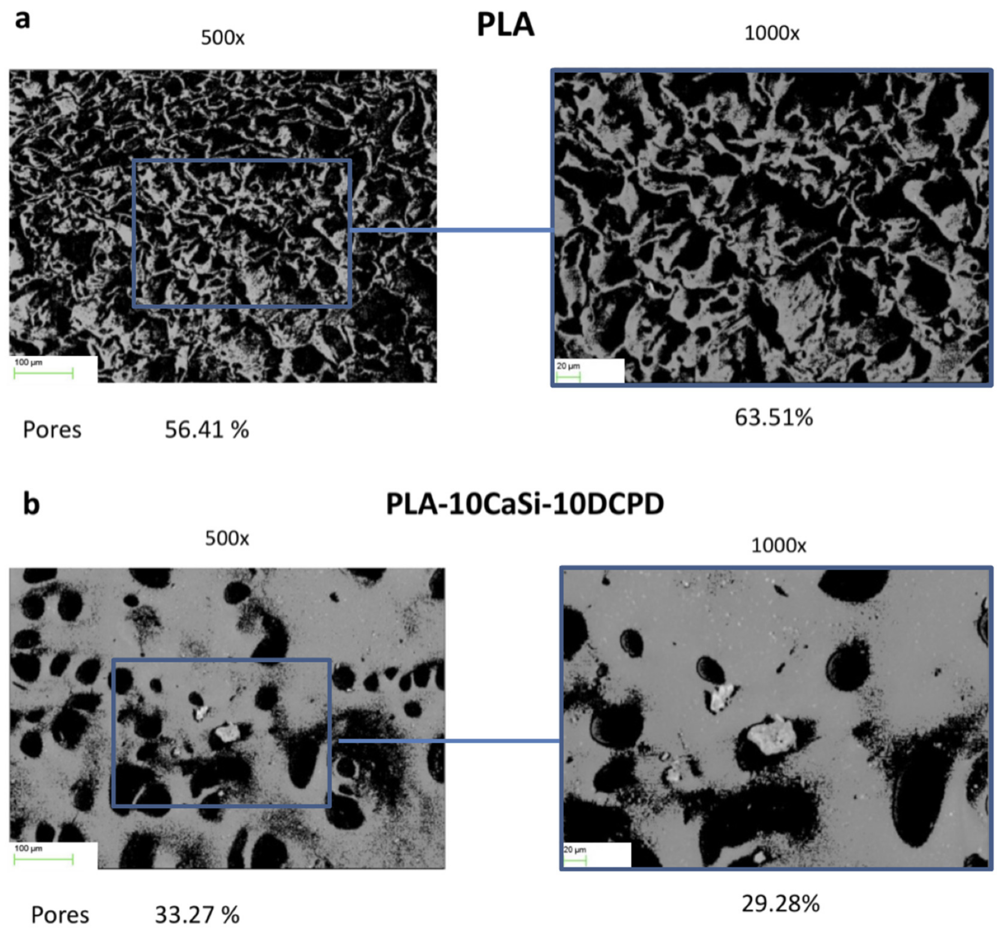Nanomaterials 10 00243 g001