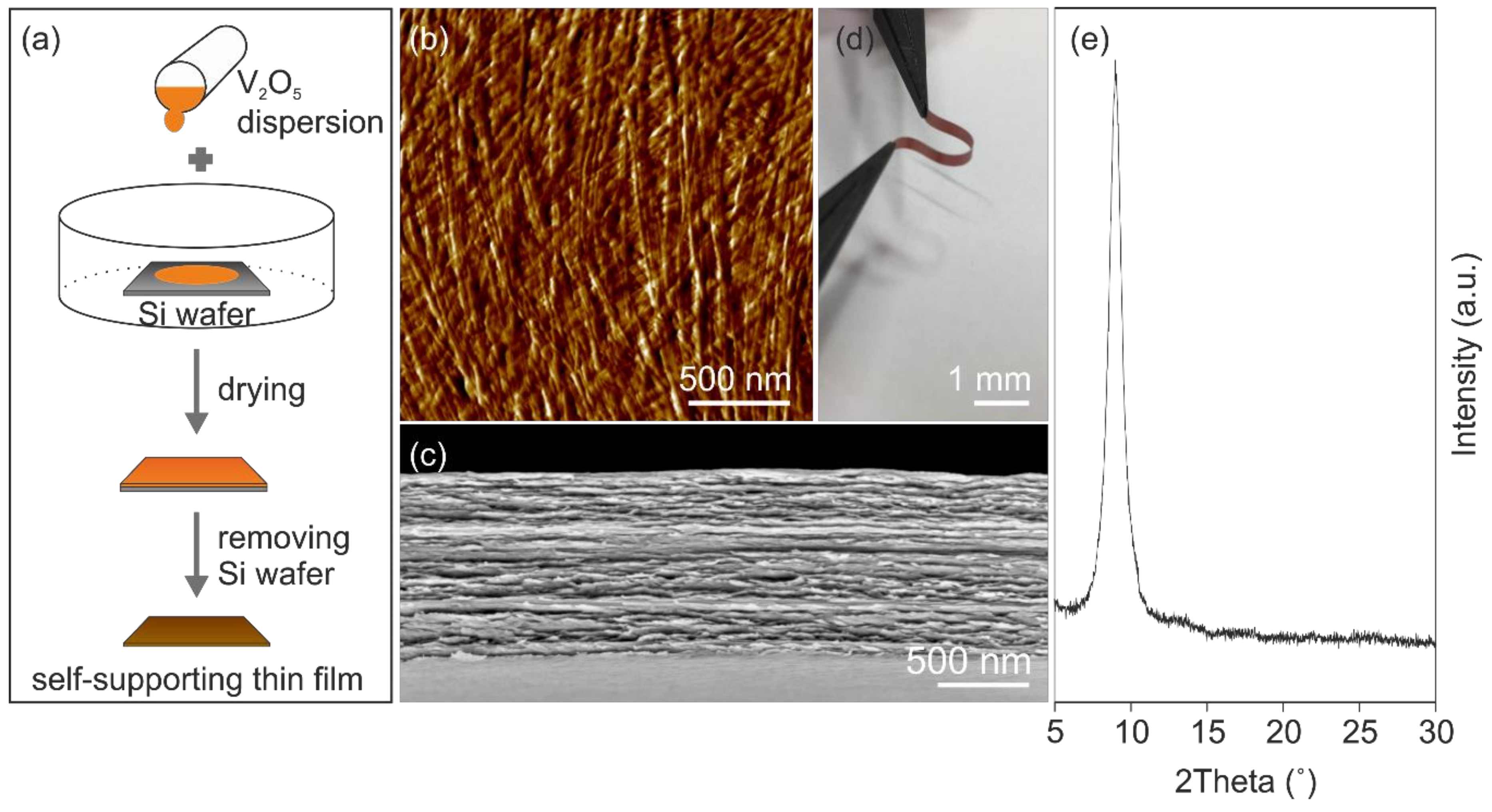 Nanomaterials 10 00247 g001
