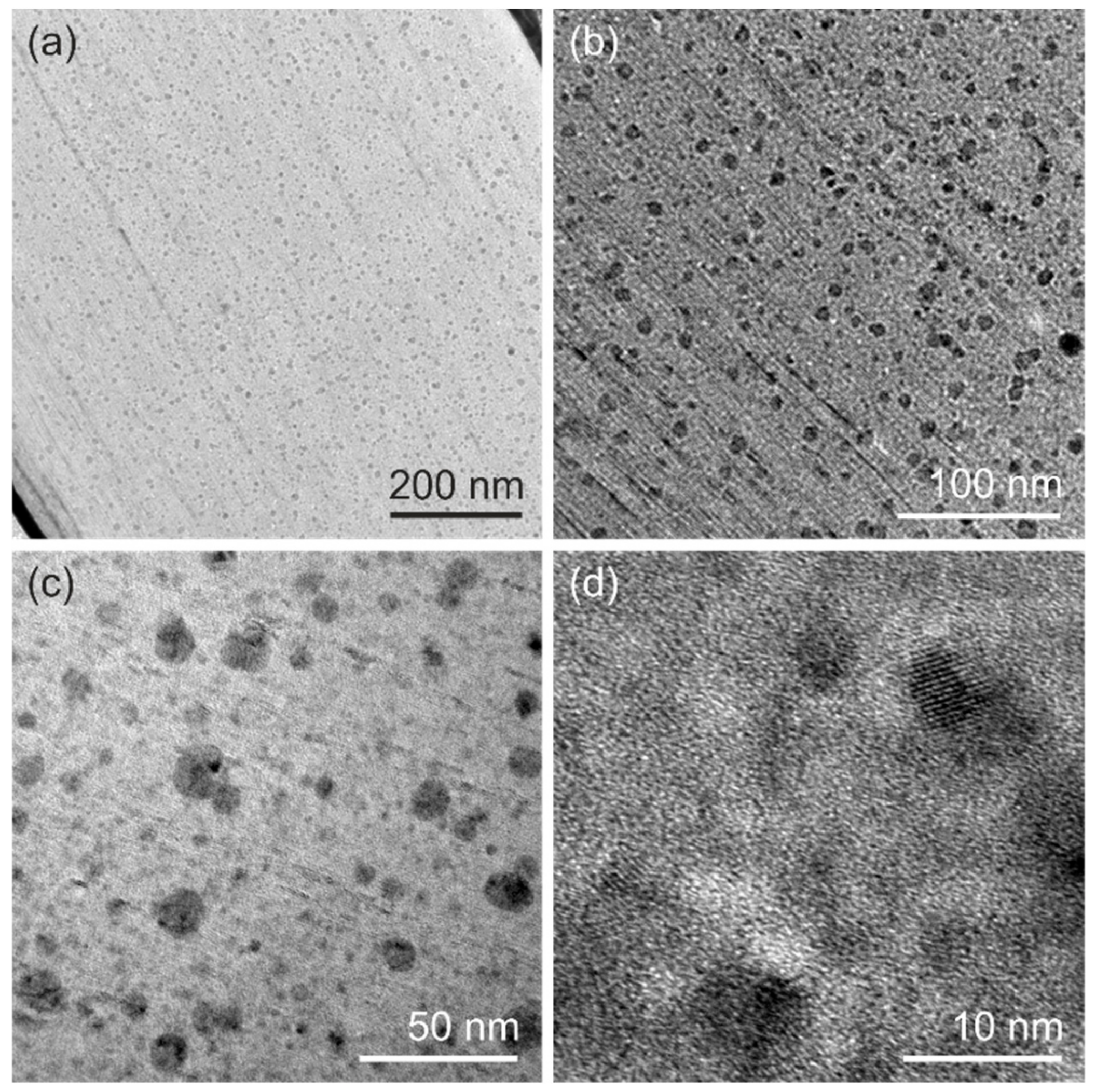 Nanomaterials 10 00247 g004