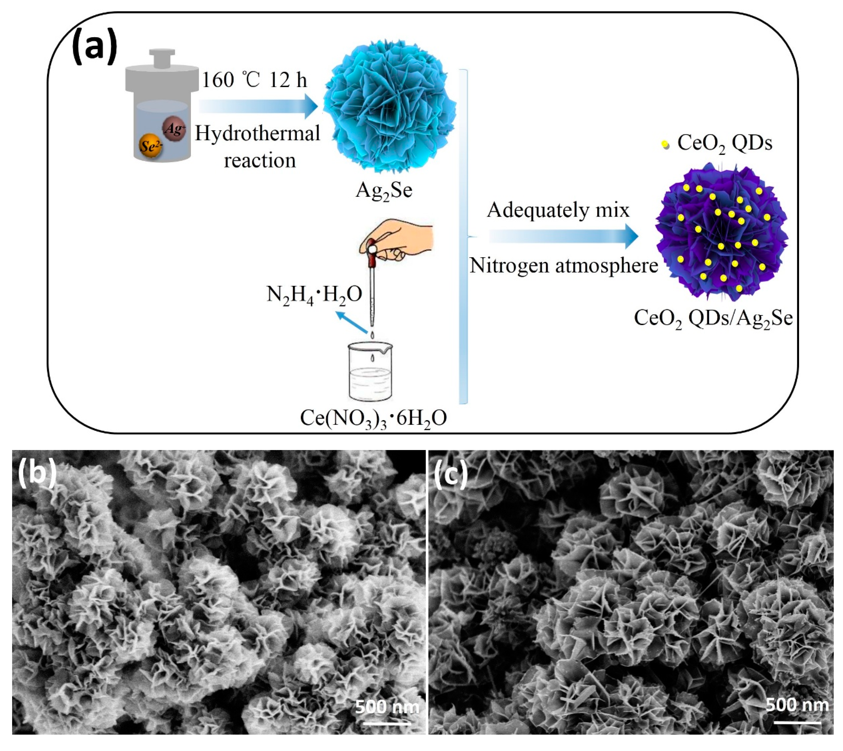 Nanomaterials 10 00253 g003 Nanomaterials 10 00253 g003