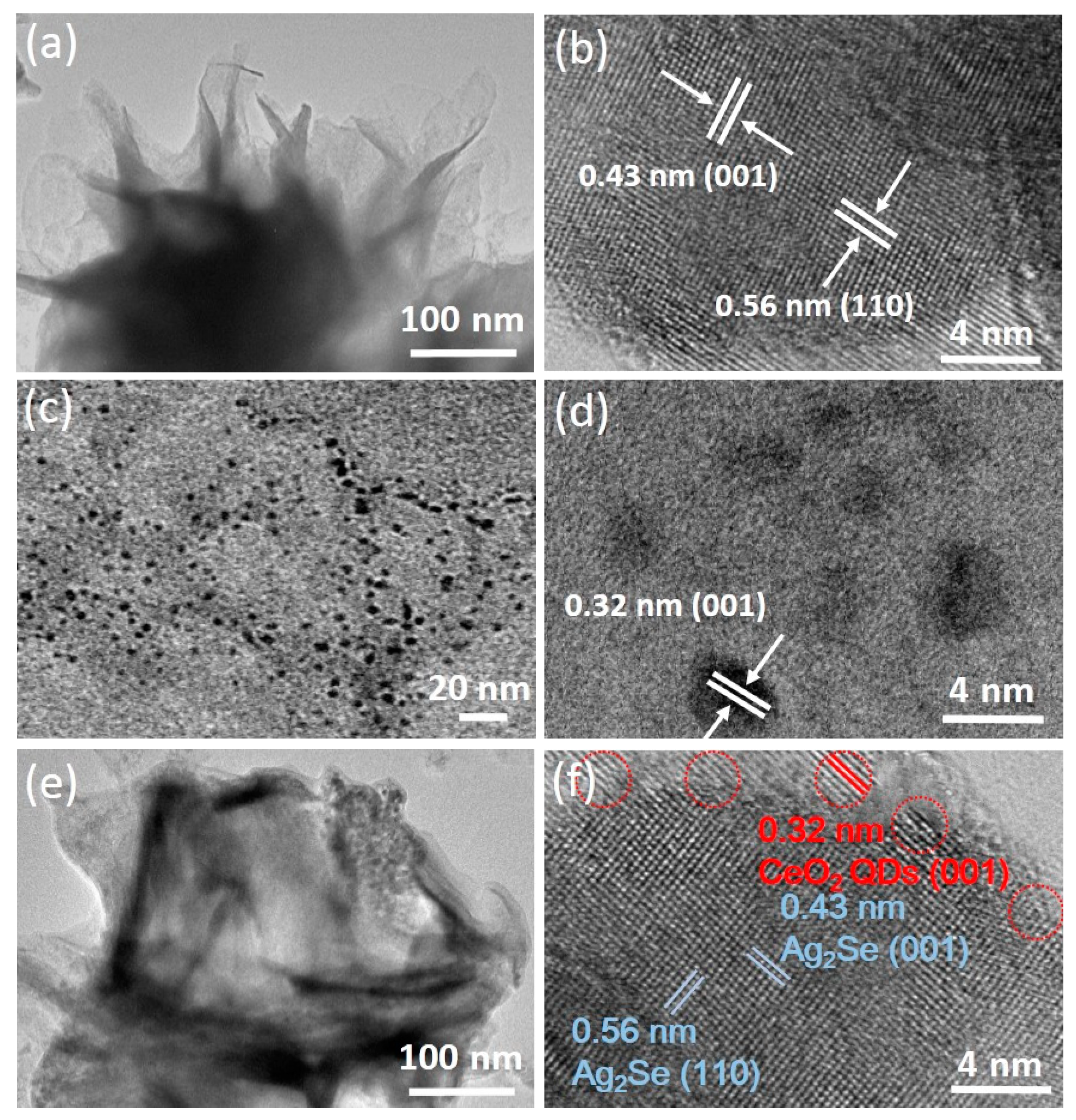 Nanomaterials 10 00253 g004 Nanomaterials 10 00253 g004