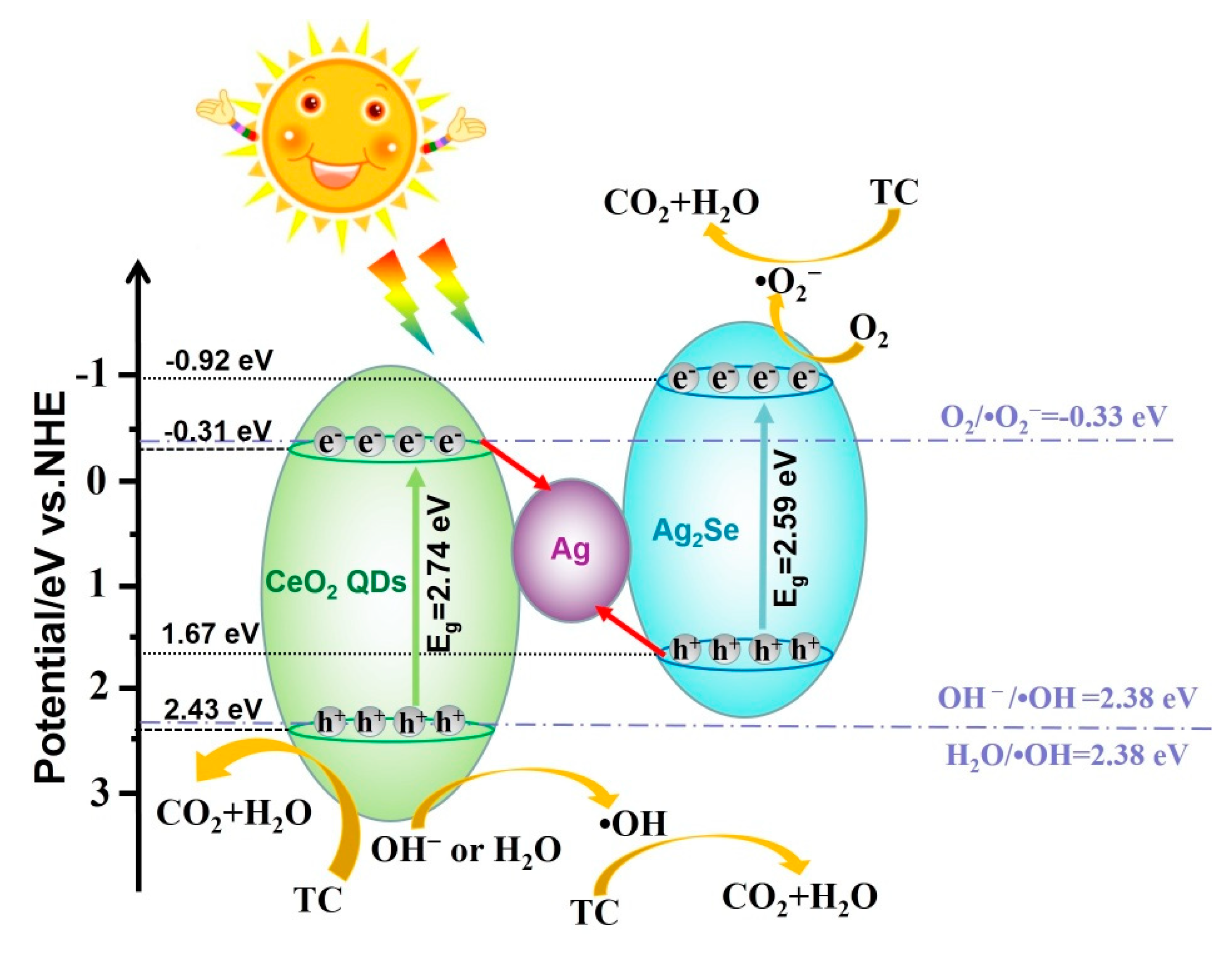 Nanomaterials 10 00253 sch001 Nanomaterials 10 00253 sch001