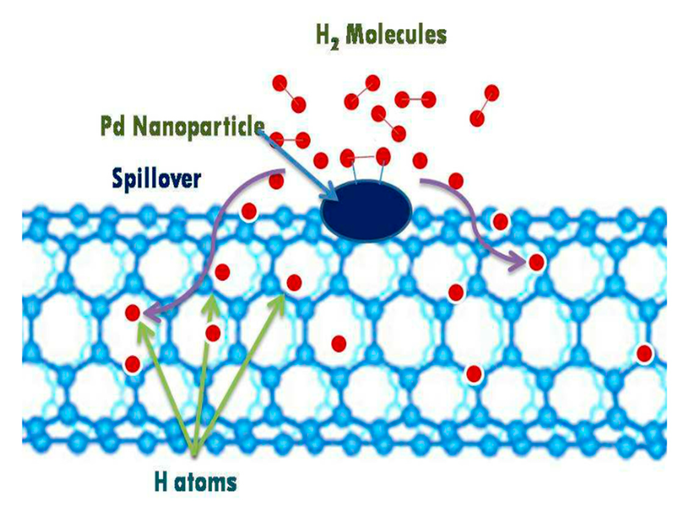 Nanomaterials 10 00255 g006