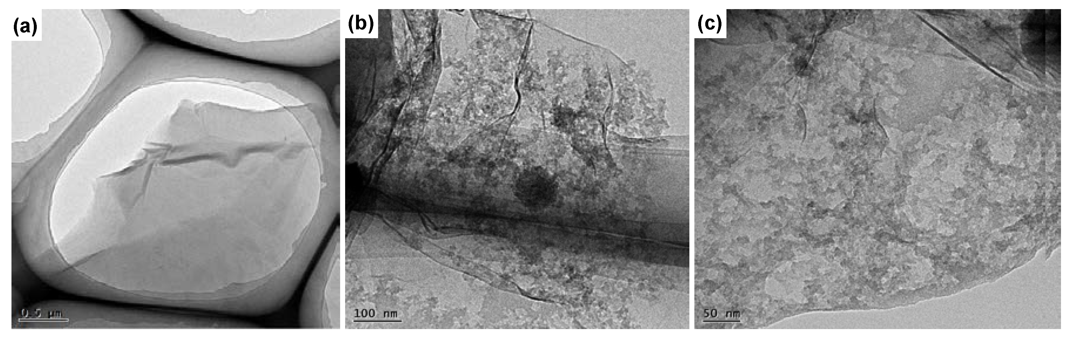 Nanomaterials 10 00260 g006 Nanomaterials 10 00260 g006