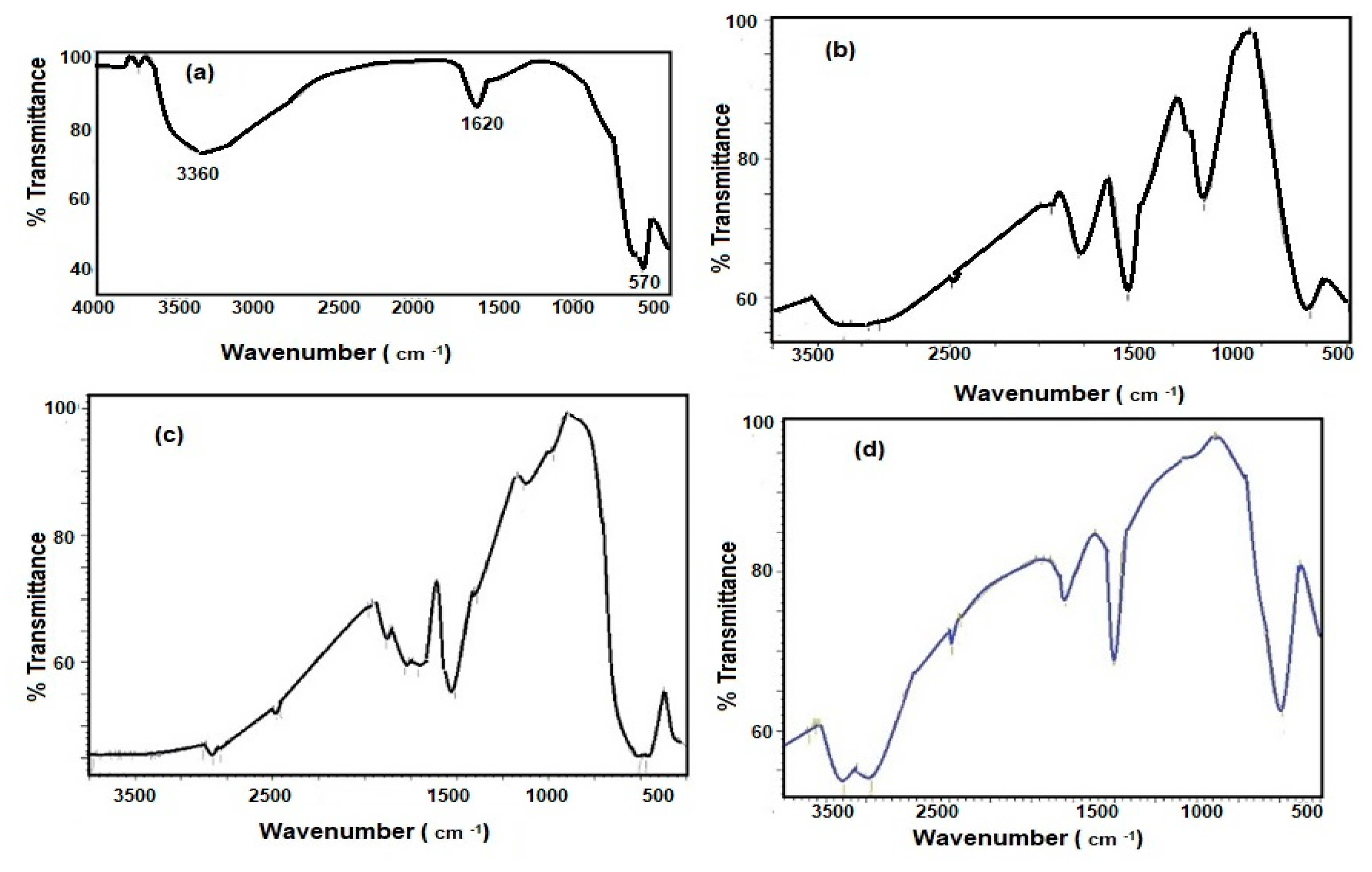 Nanomaterials 10 00262 g001