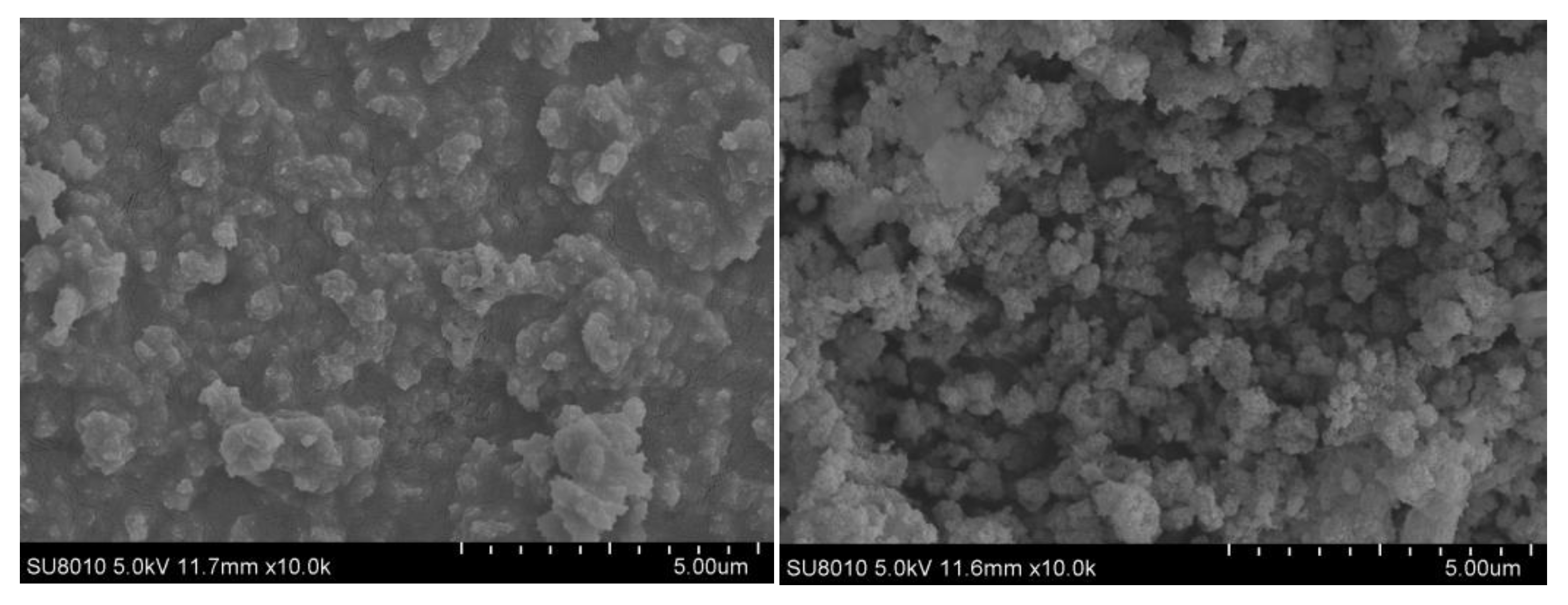 Nanomaterials 10 00263 g011 Nanomaterials 10 00263 g011