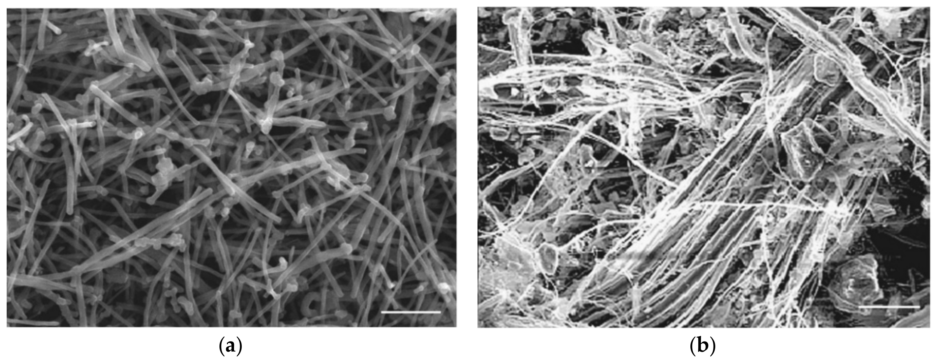 Nanomaterials 10 00264 g001