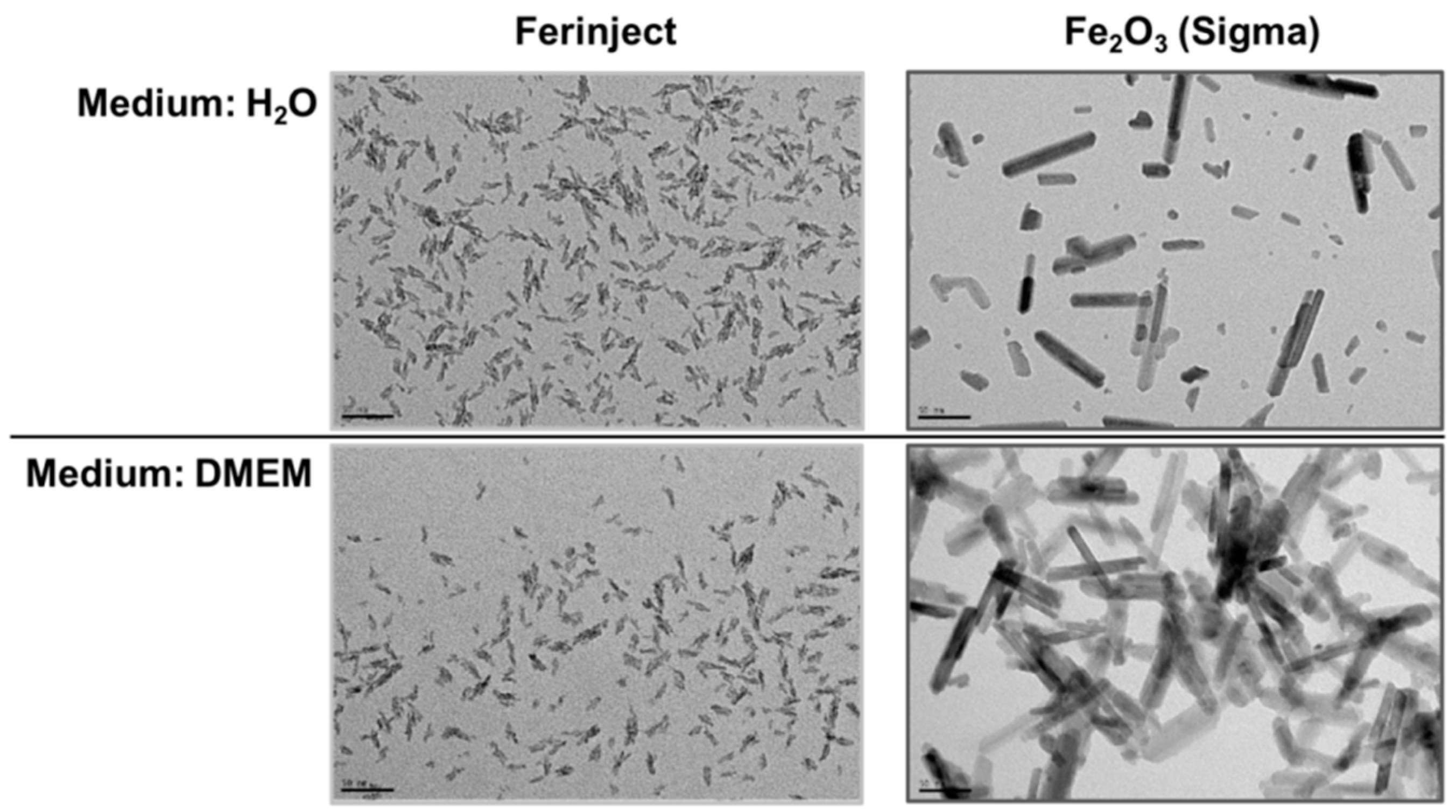 Nanomaterials 10 00266 g001 Nanomaterials 10 00266 g001