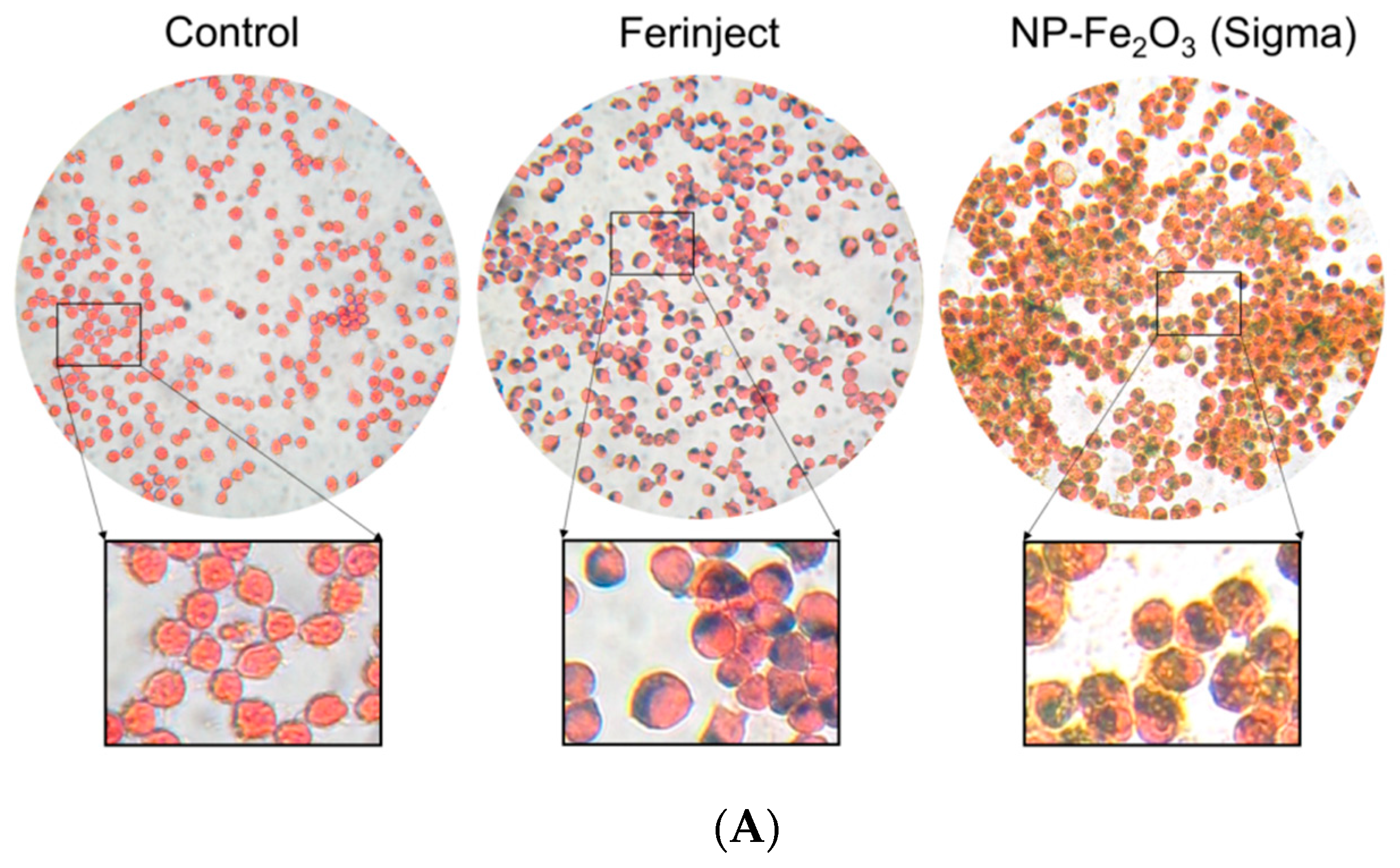 Nanomaterials 10 00266 g003a Nanomaterials 10 00266 g003a