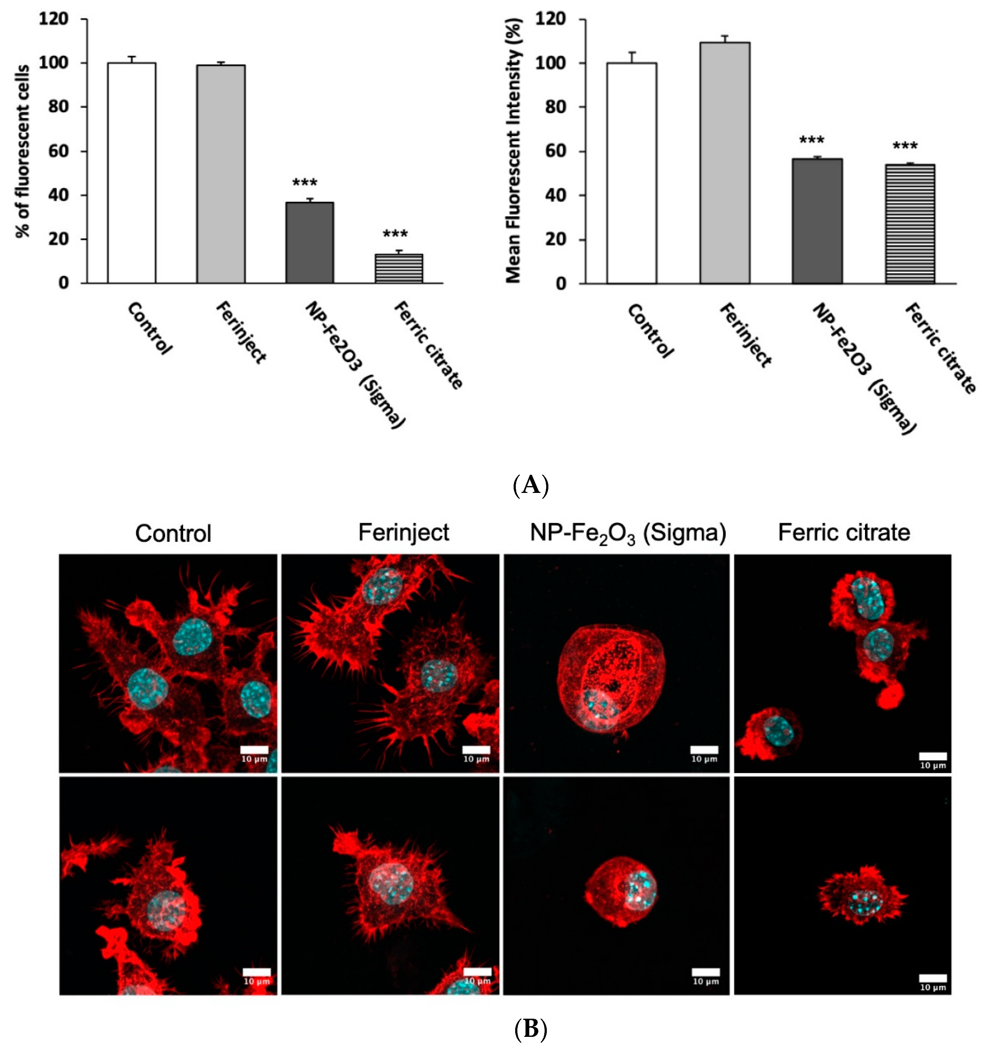 Nanomaterials 10 00266 g005 Nanomaterials 10 00266 g005