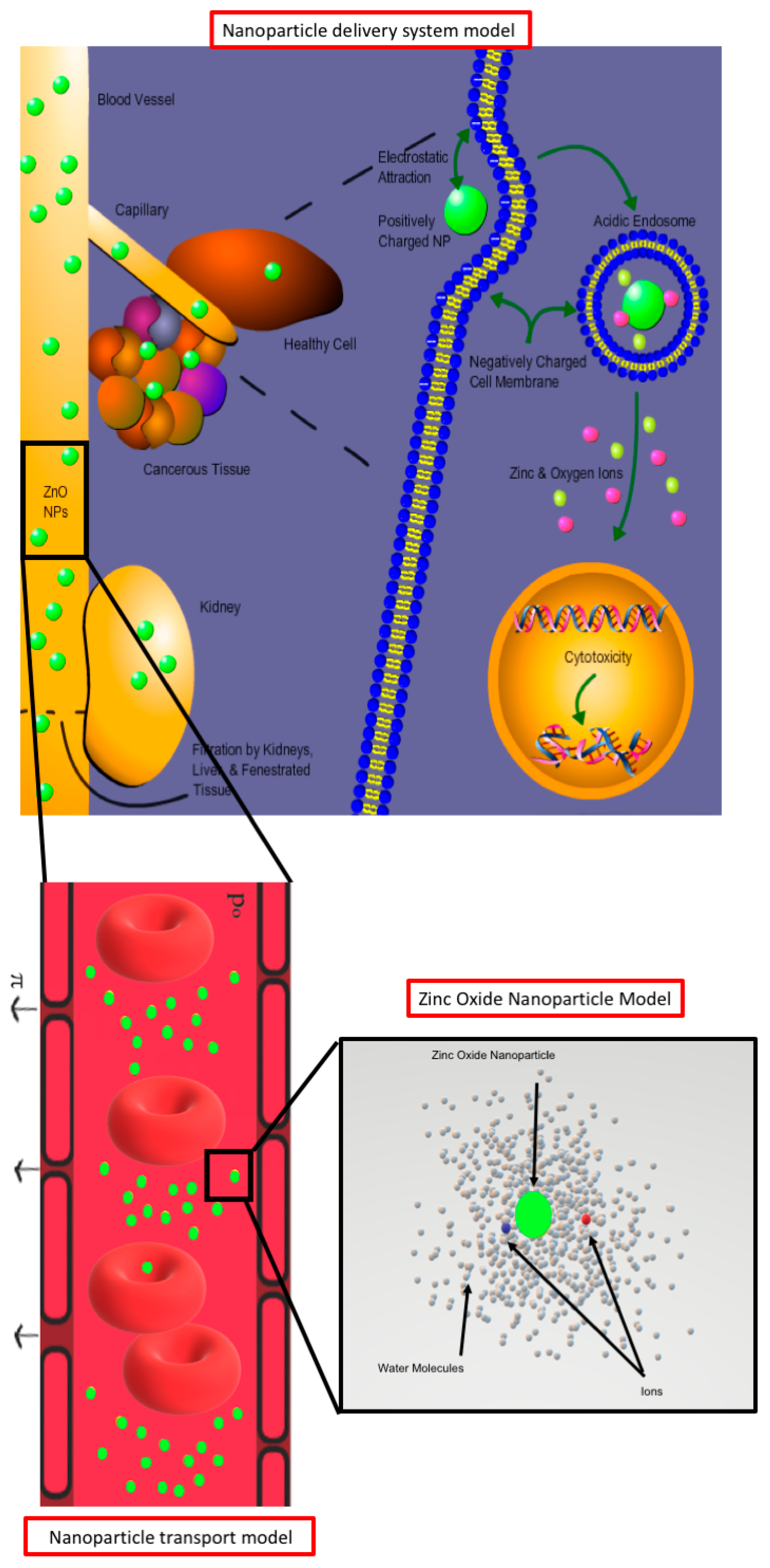 Nanomaterials 10 00269 g001