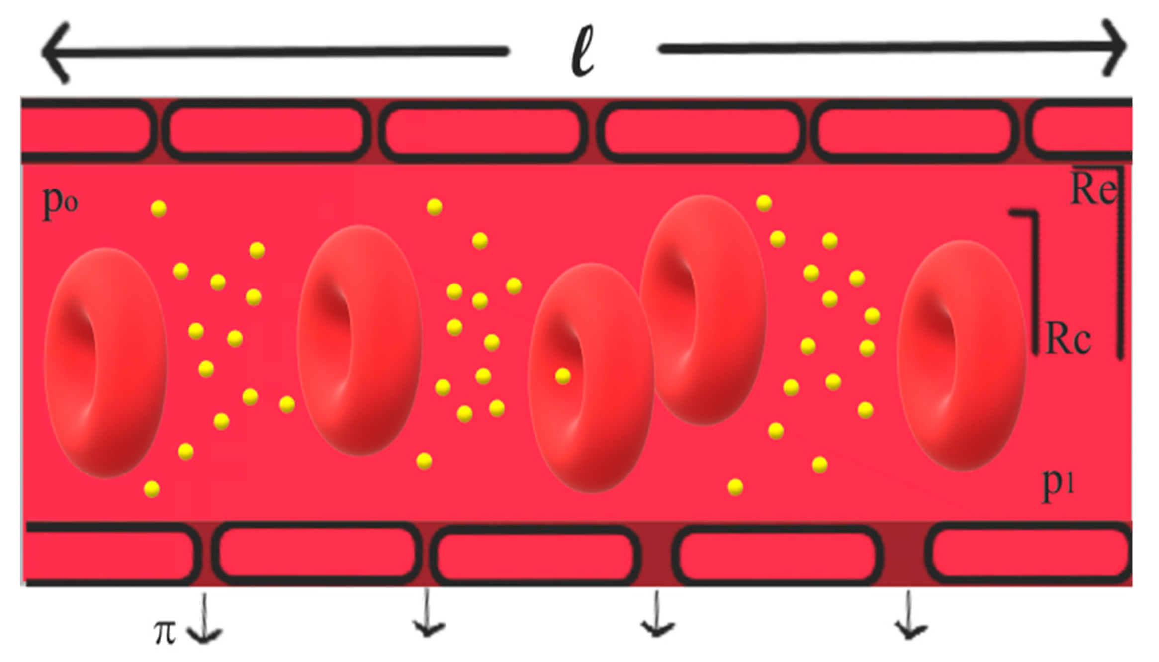 Nanomaterials 10 00269 g003