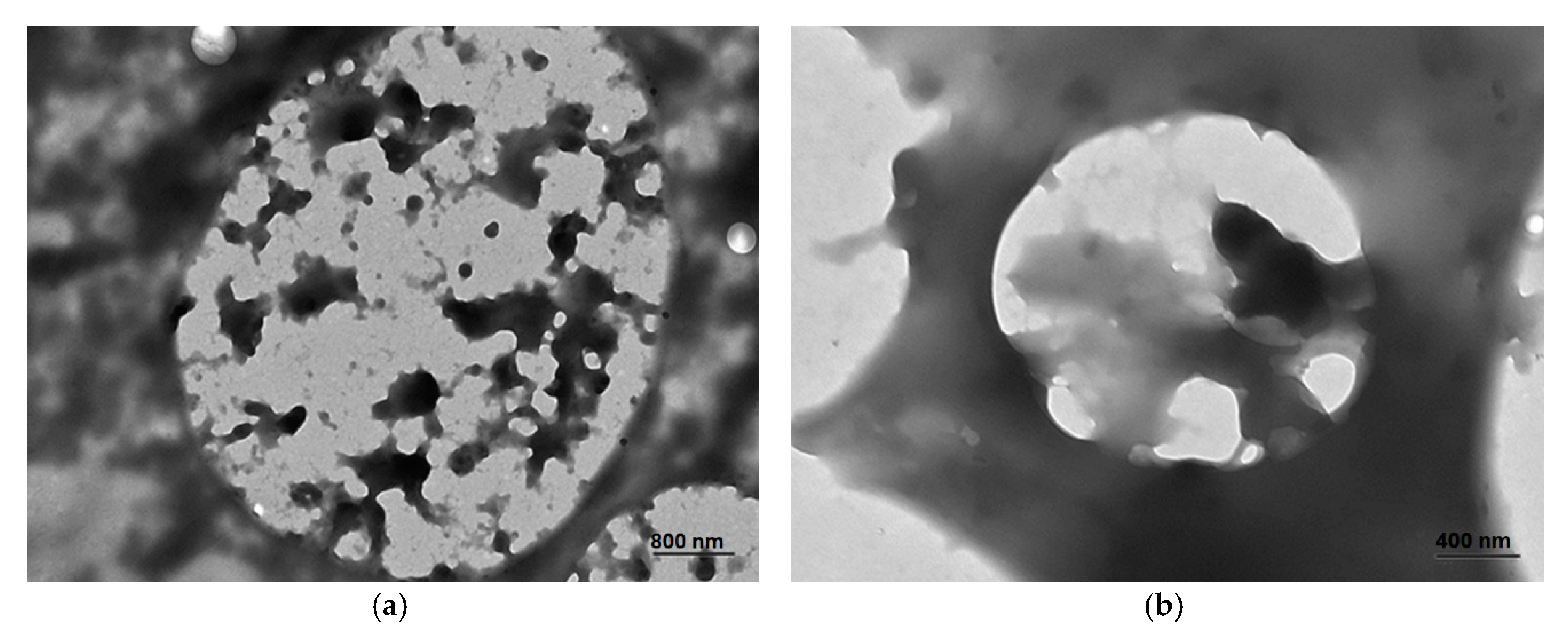 Nanomaterials 10 00270 g003 Nanomaterials 10 00270 g003
