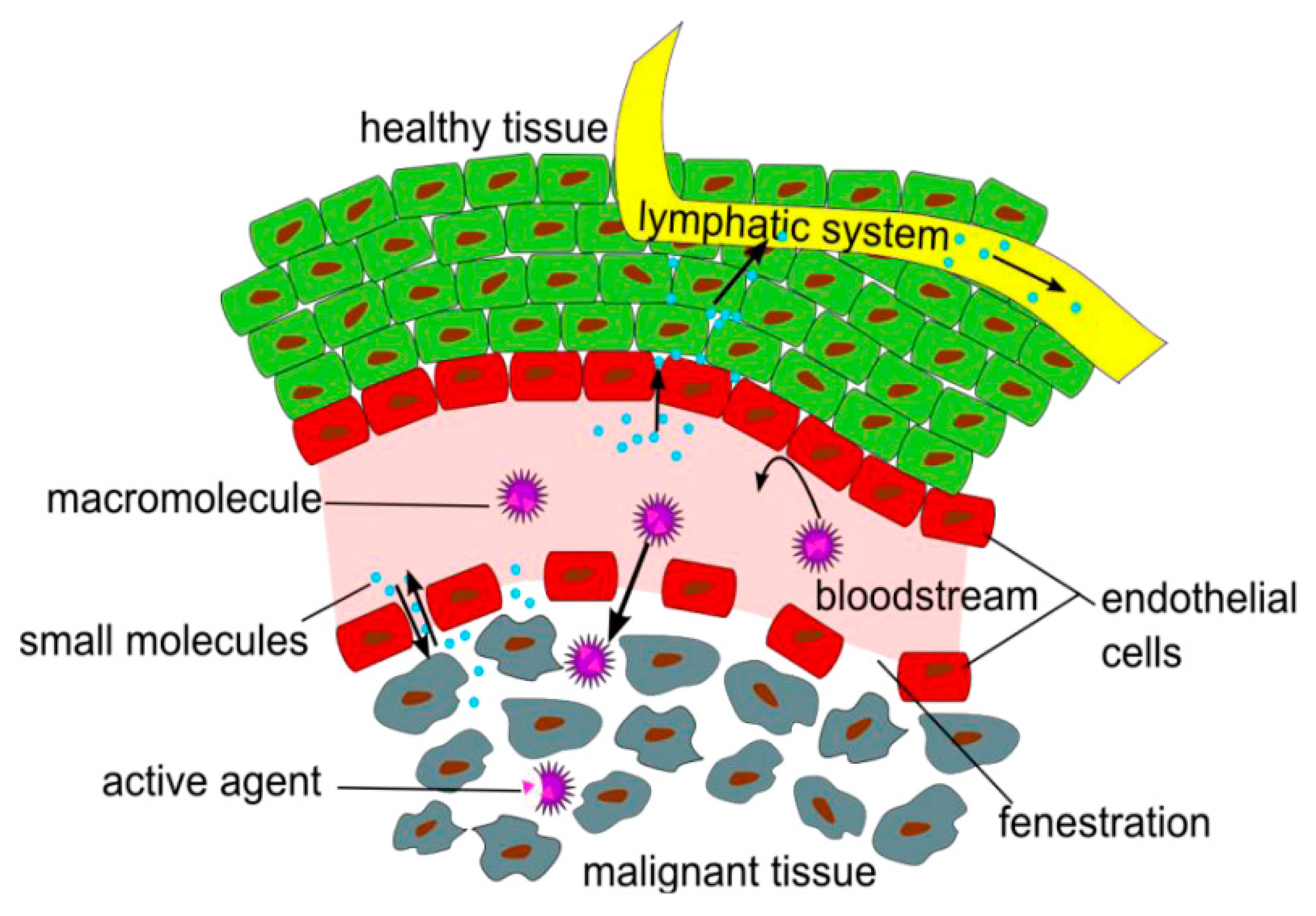 Nanomaterials 10 00276 g004