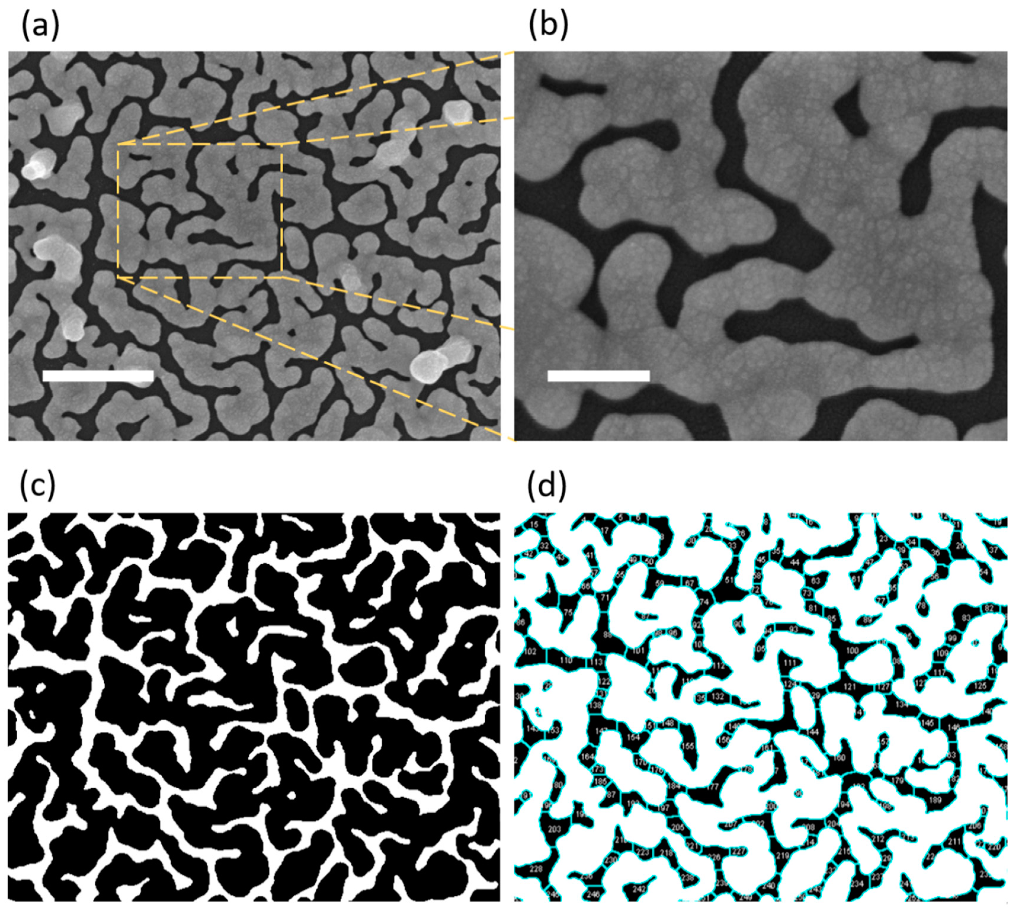 Nanomaterials 10 00290 g001