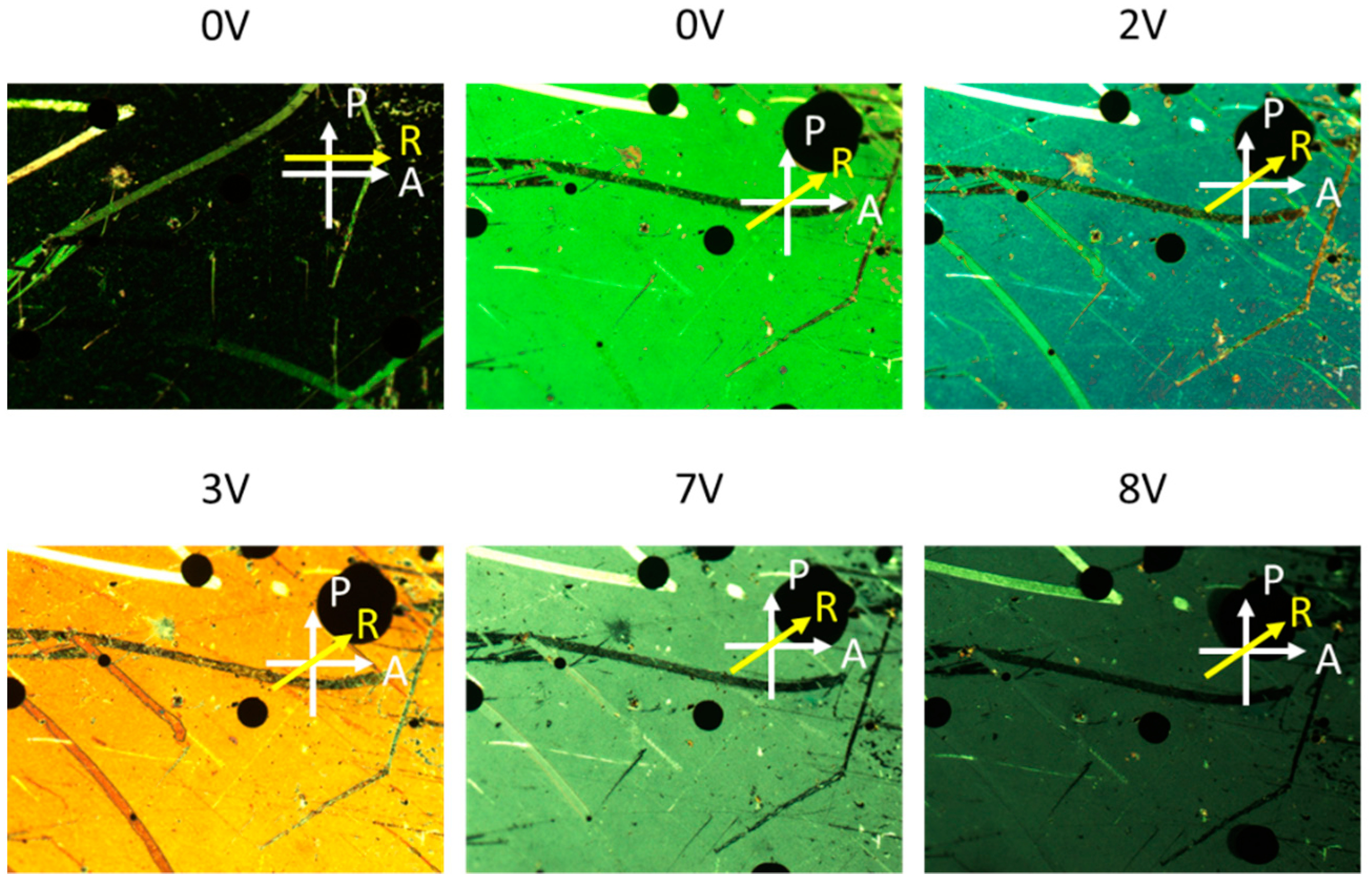 Nanomaterials 10 00290 g003