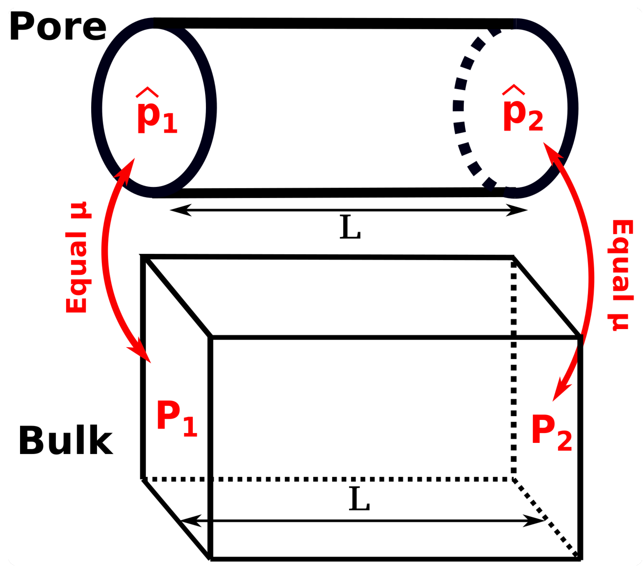 Nanomaterials 10 00293 g003