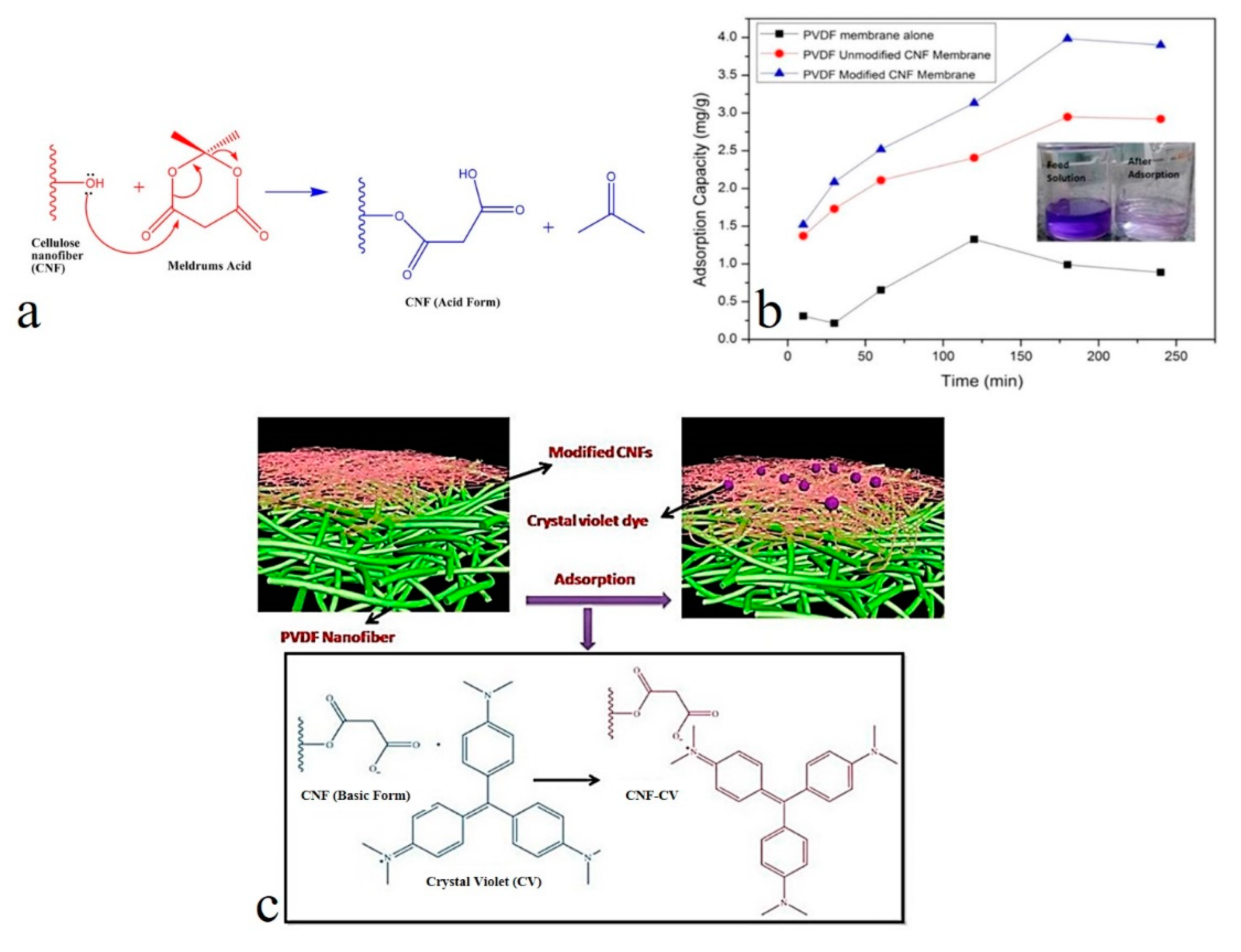 Nanomaterials 10 00295 g007