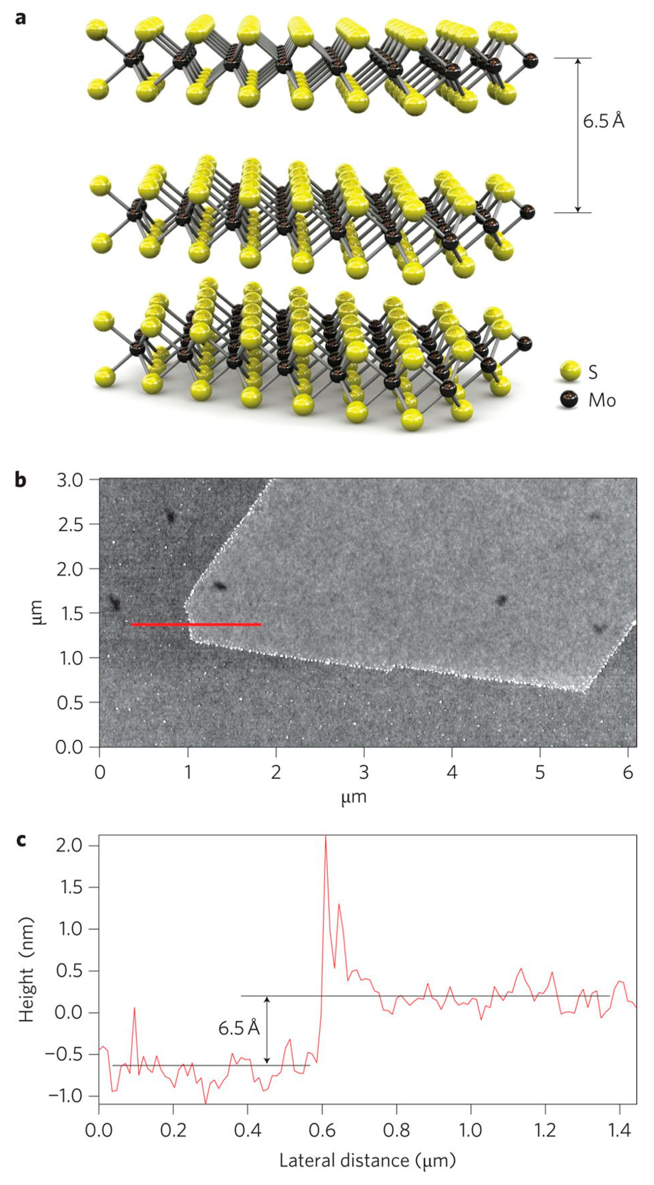 Nanomaterials 10 00295 g011