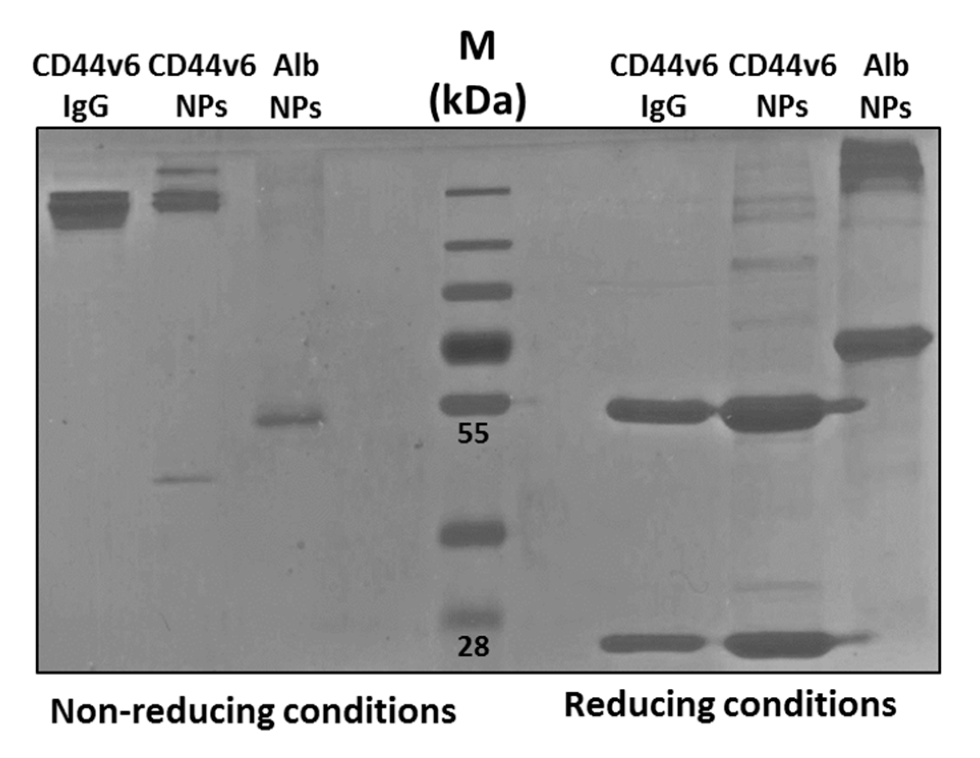Nanomaterials 10 00298 g006 Nanomaterials 10 00298 g006